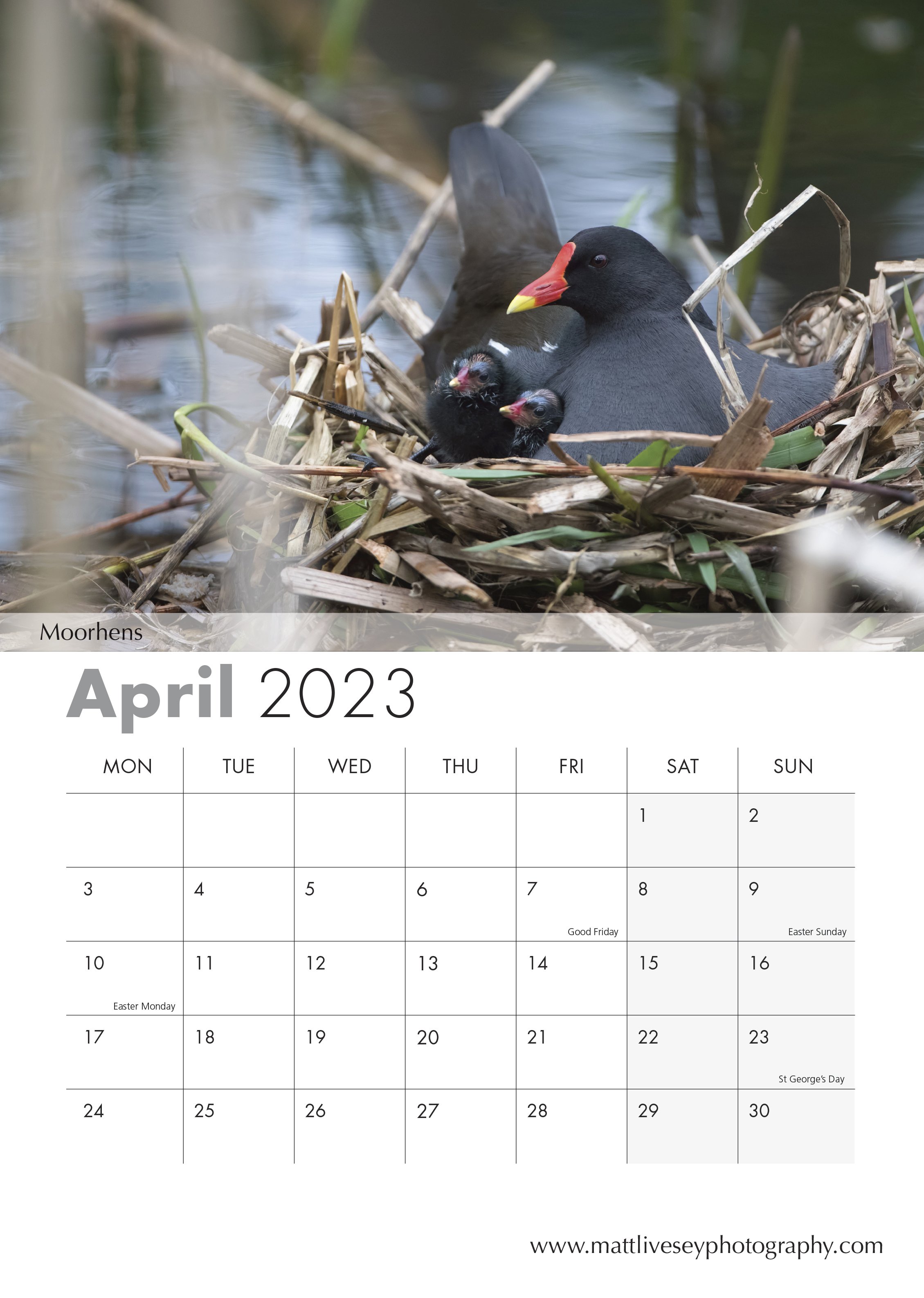 April.jpg