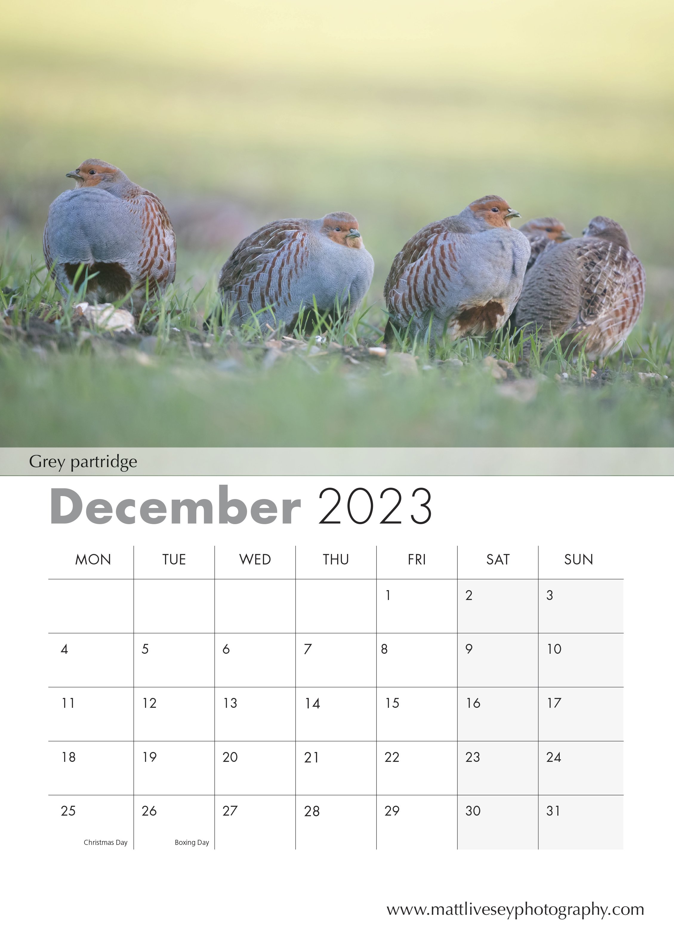 December .jpg