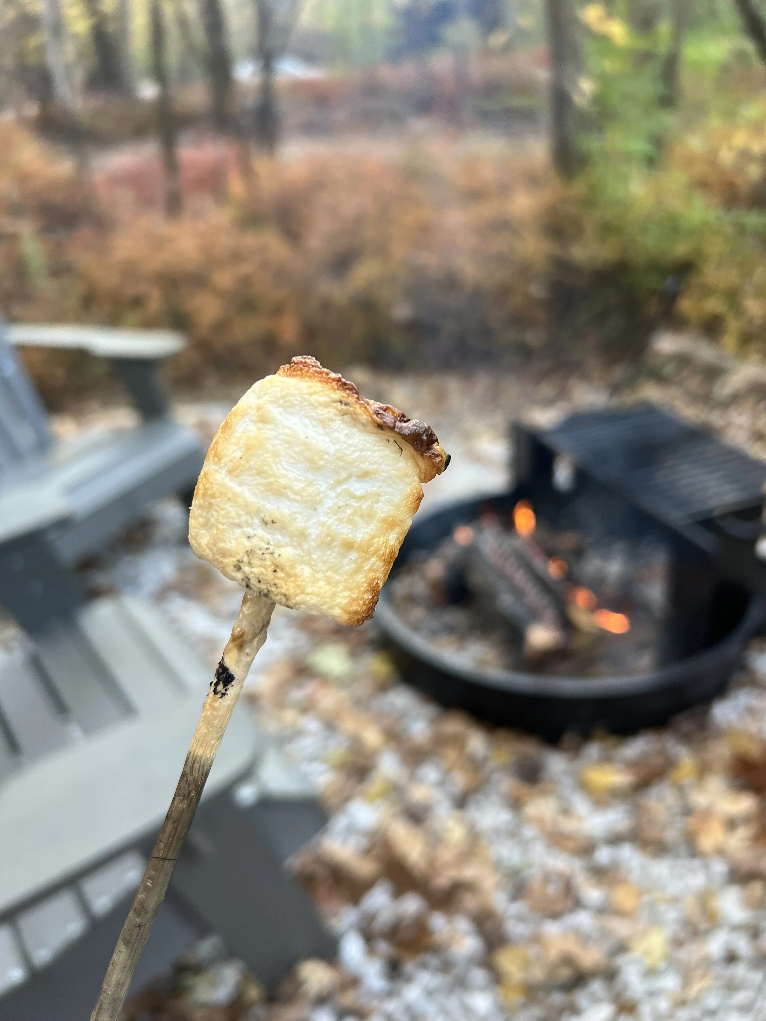 Roasted Marshmallow Getaway Cabins.jpg