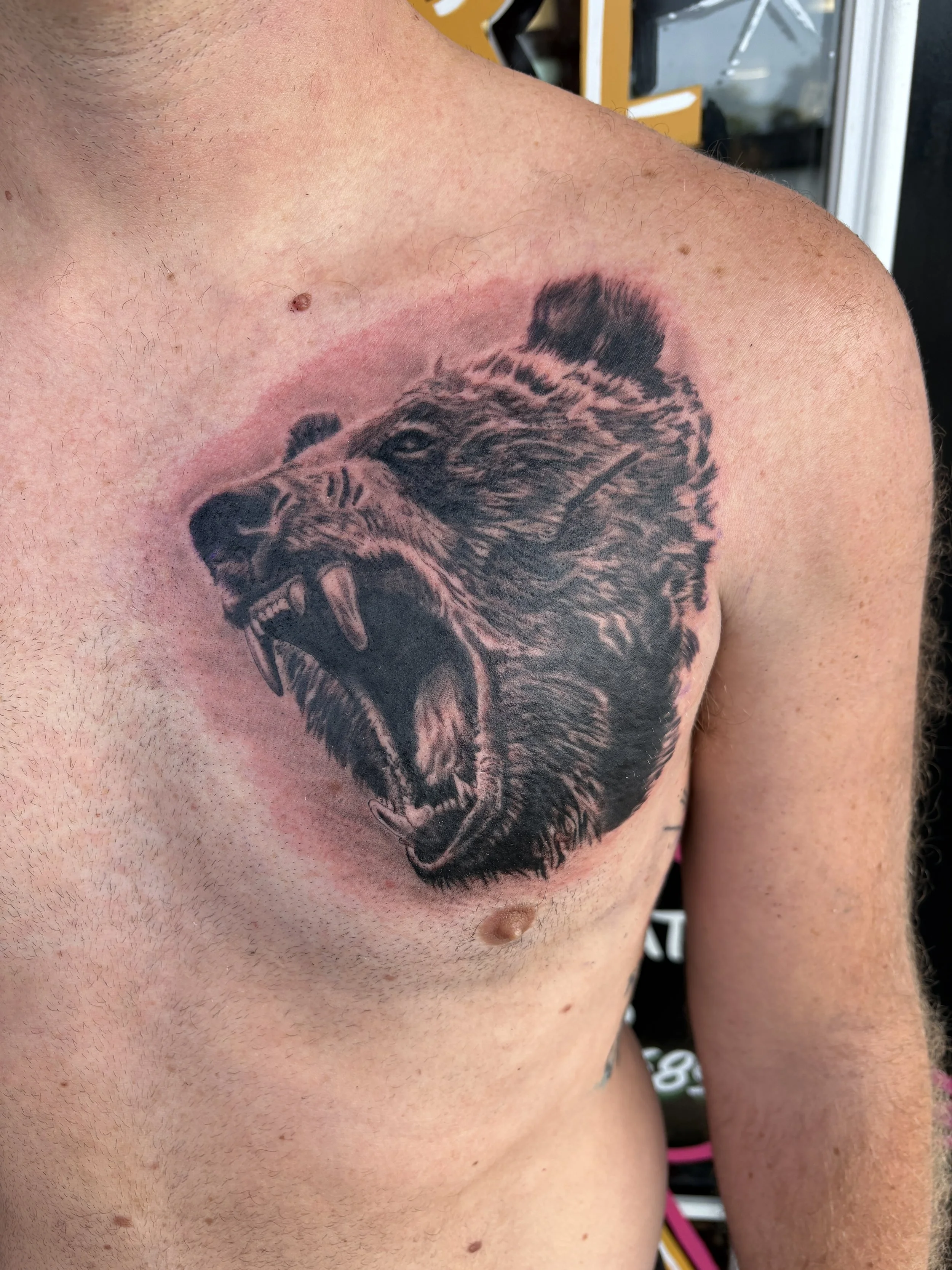 grizzly bear tattoo black and grey tattoo Englewood ohio