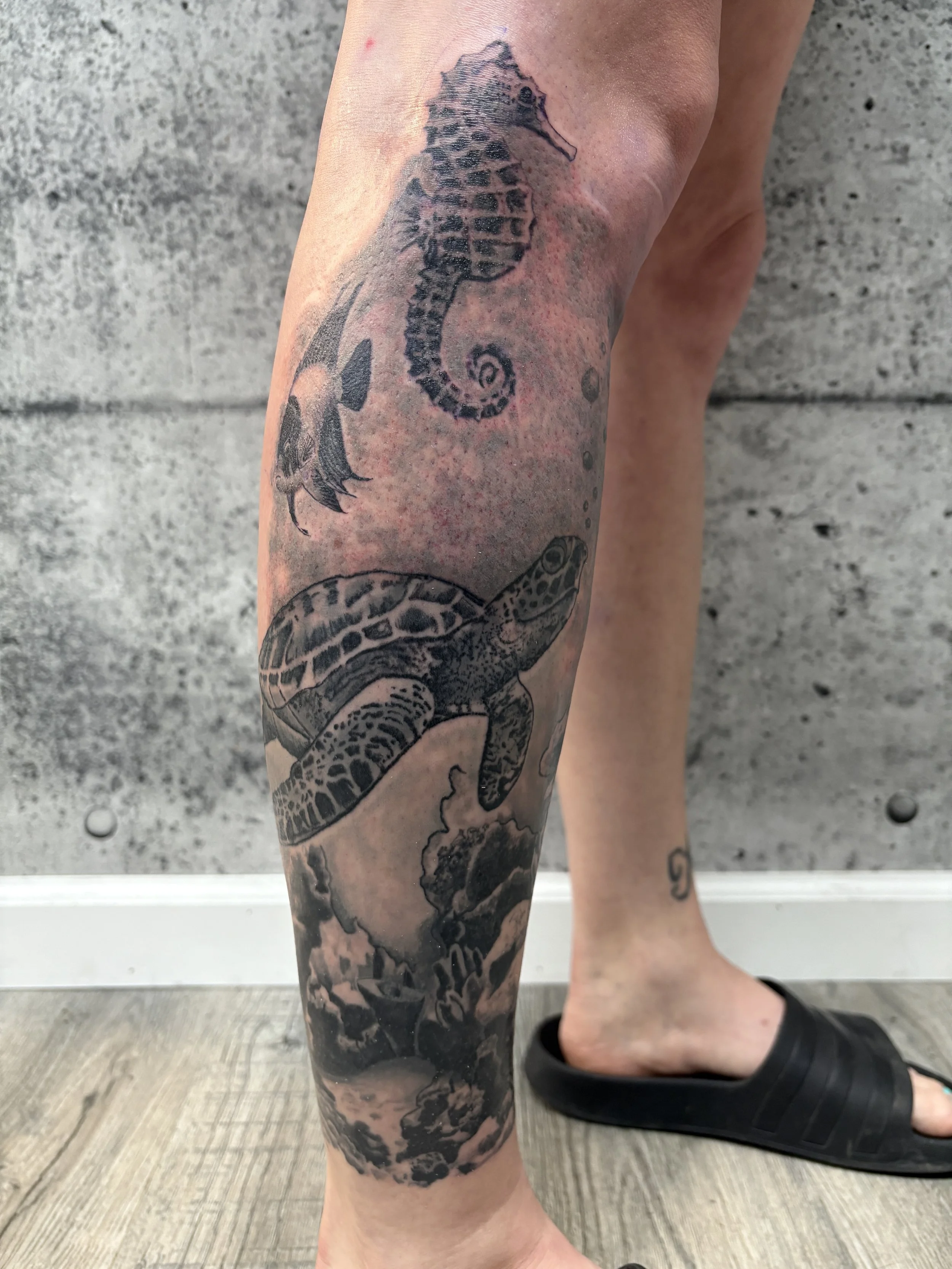 cover up tattoo sea turtle tattoo ocean tattoo Englewood ohio