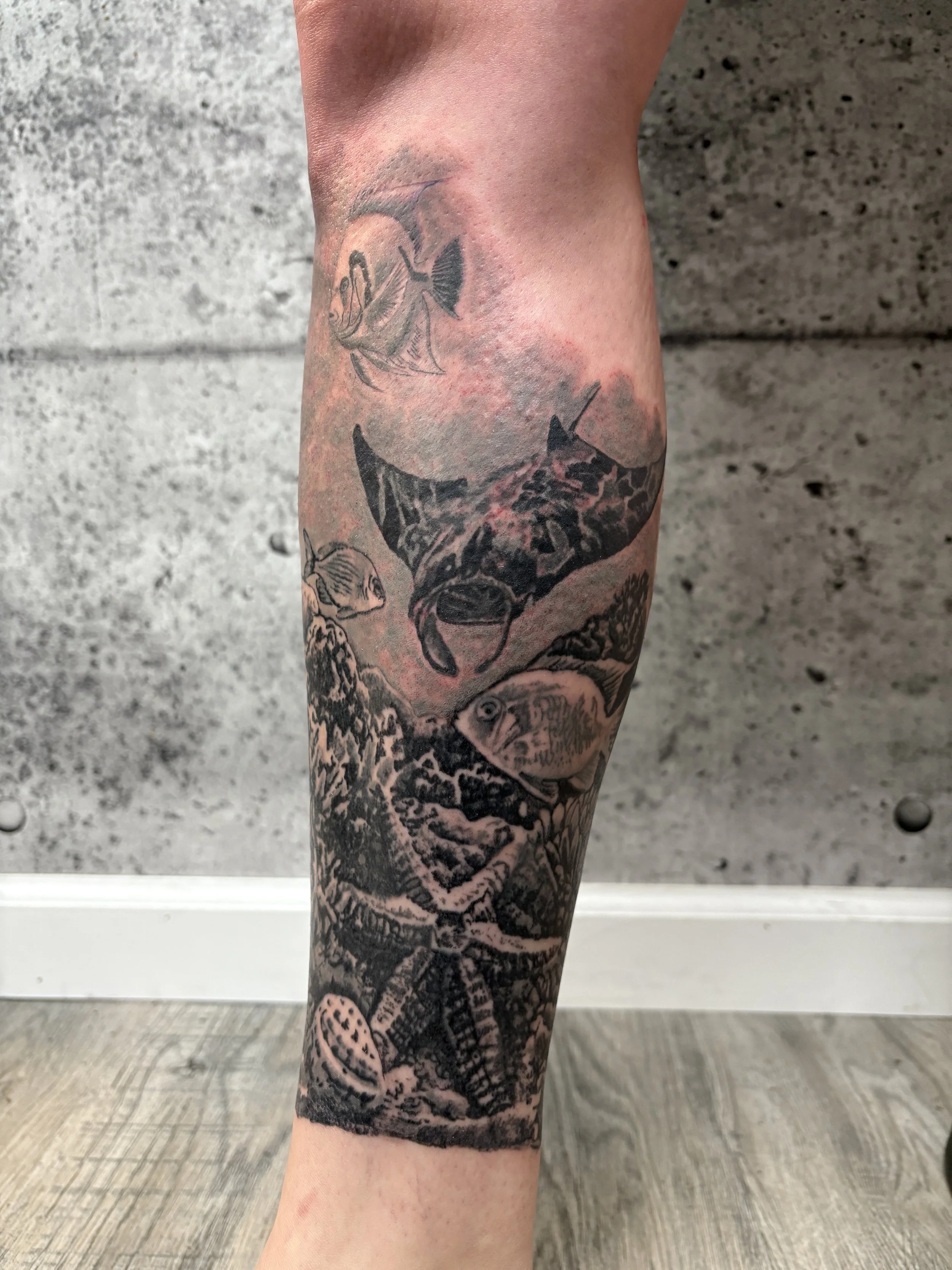 cover up tattoo ocean tattoo fish tattoo starfish tattoo Englewood ohio