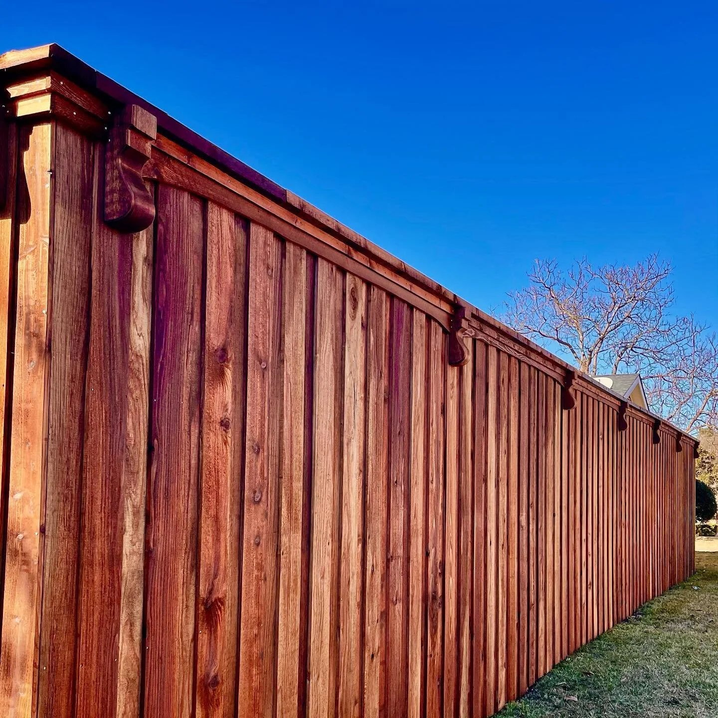 cedar fence sasche.jpg