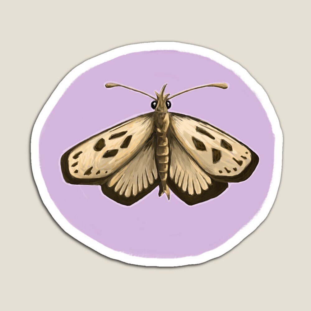 ✨ New design ✨ up just in time for the holidays!! If you&rsquo;re looking for a gift for the insectophile in your life, check out our shop! This skipper is available now and would love to skip into your life! 😁