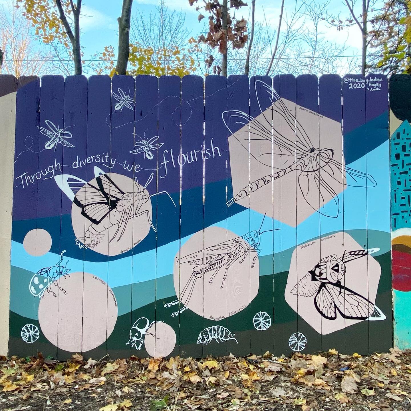 The mural is done!! If you&rsquo;re in Ithaca, swing by the South Hill rec trail to check it out! We&rsquo;re really proud of how our very first mural turned out 😁 many many thanks to Caleb @ithacamurals for believing in us and helping make this hap