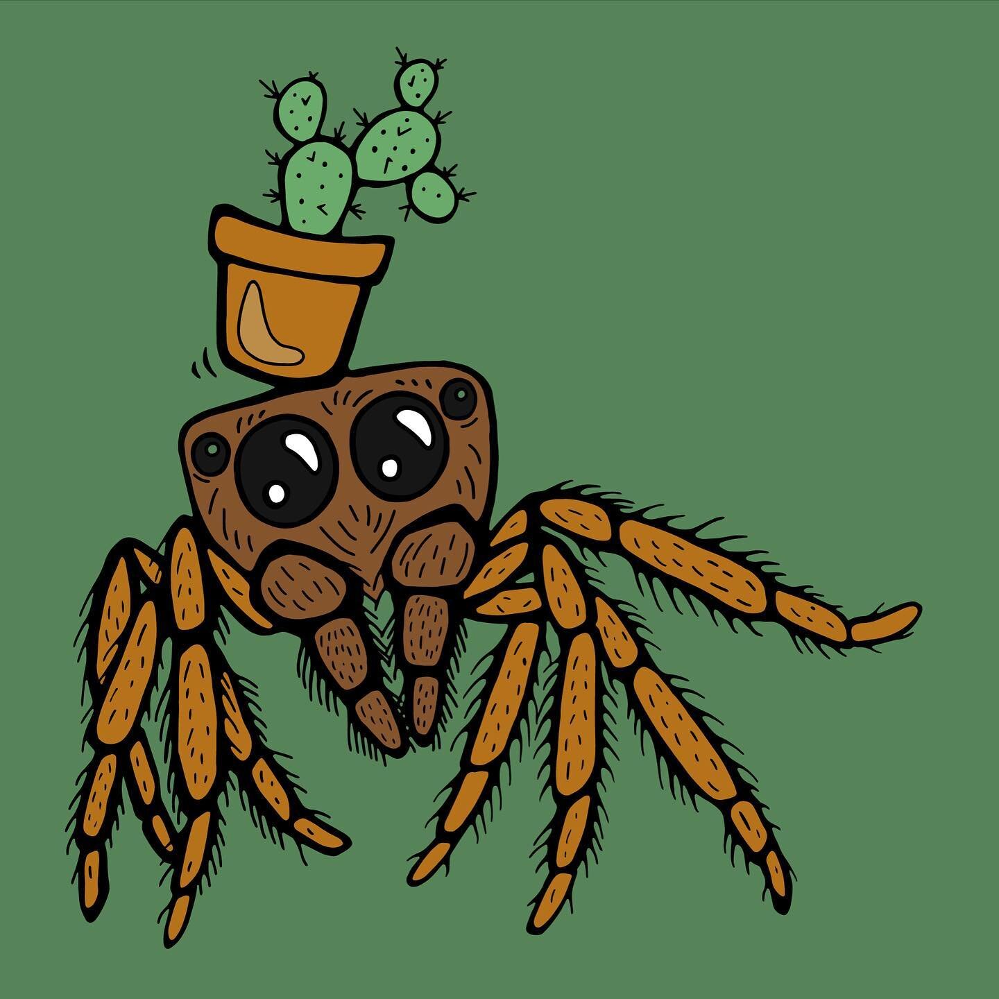 ✨New design up! ✨ this little jumping spider and her prickly pear cactus are here to say hello! Get both of their spiky selves in our shop, link in bio! 🌵 #jumpingspider #araneae #spider #cute #cactus #pricklypear #design #digitalart #digitaldesign 