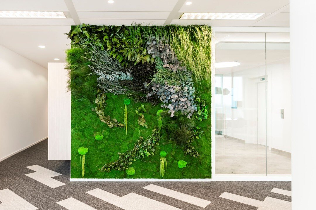 Green Mood Forest designs give your walls a true wild forest feel while enhancing both the acoustic and visual ambiance. 

Their preservation process let us use all the benefits of real plants for interior design, without any disadvantages. They requ