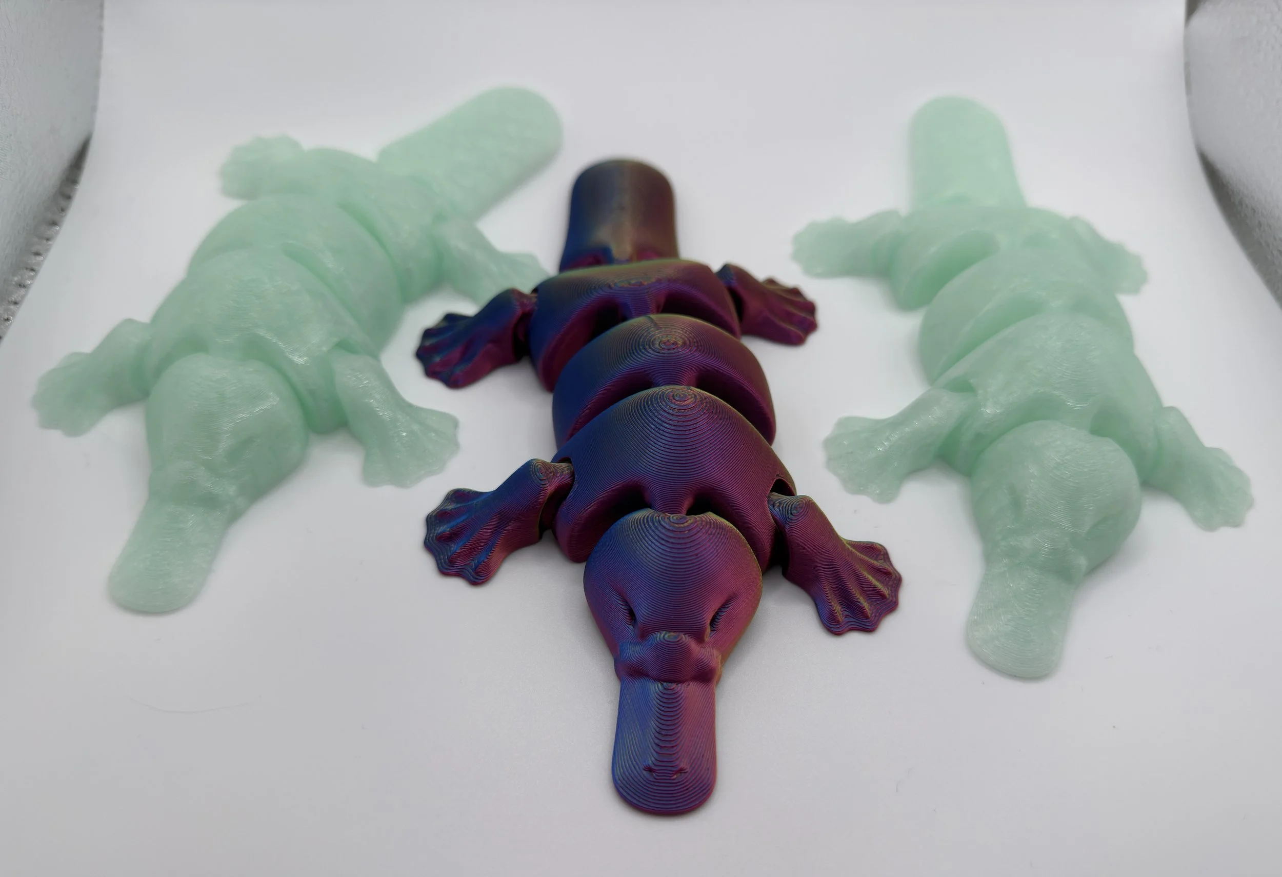 #47 Platypus articulated