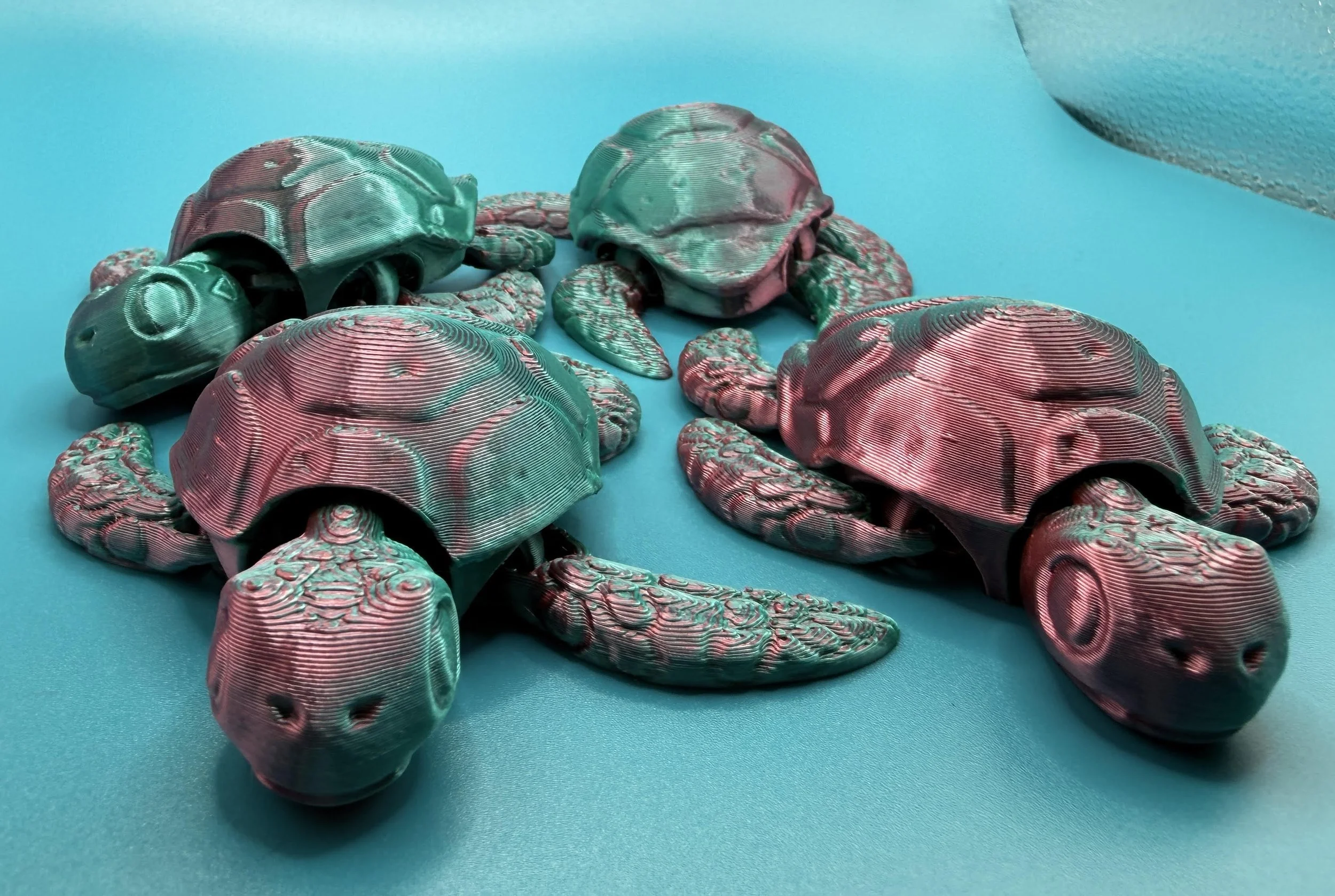 #42 pink and blue turtles