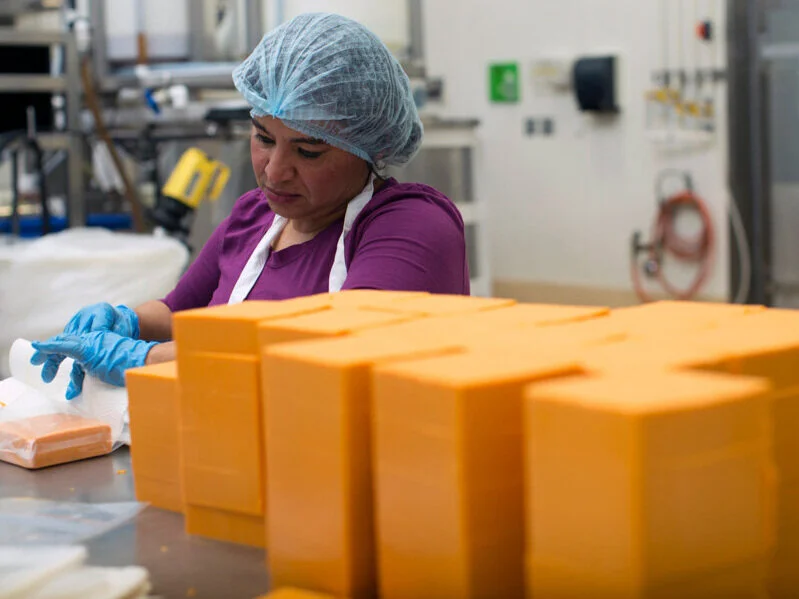 NewFields Plantbased Cheese