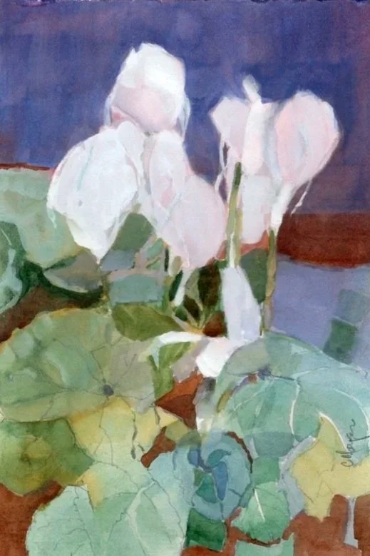 Cyclamen, Watercolor, 11" by 7.5"