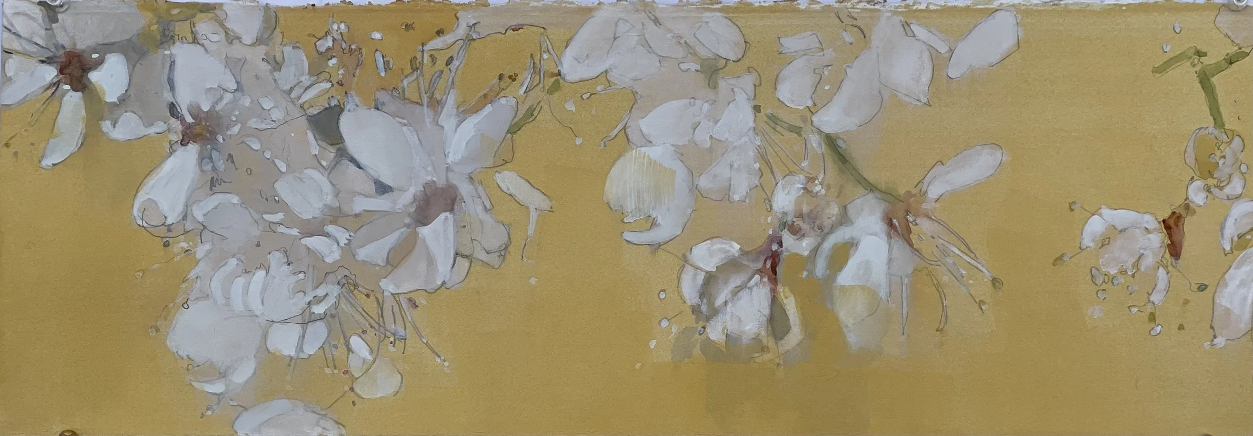 White and Gold, Watercolor, Private Collection