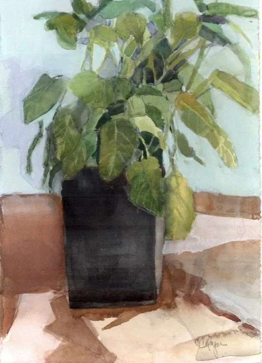 Sage, Watercolor, 11" by 7.5"