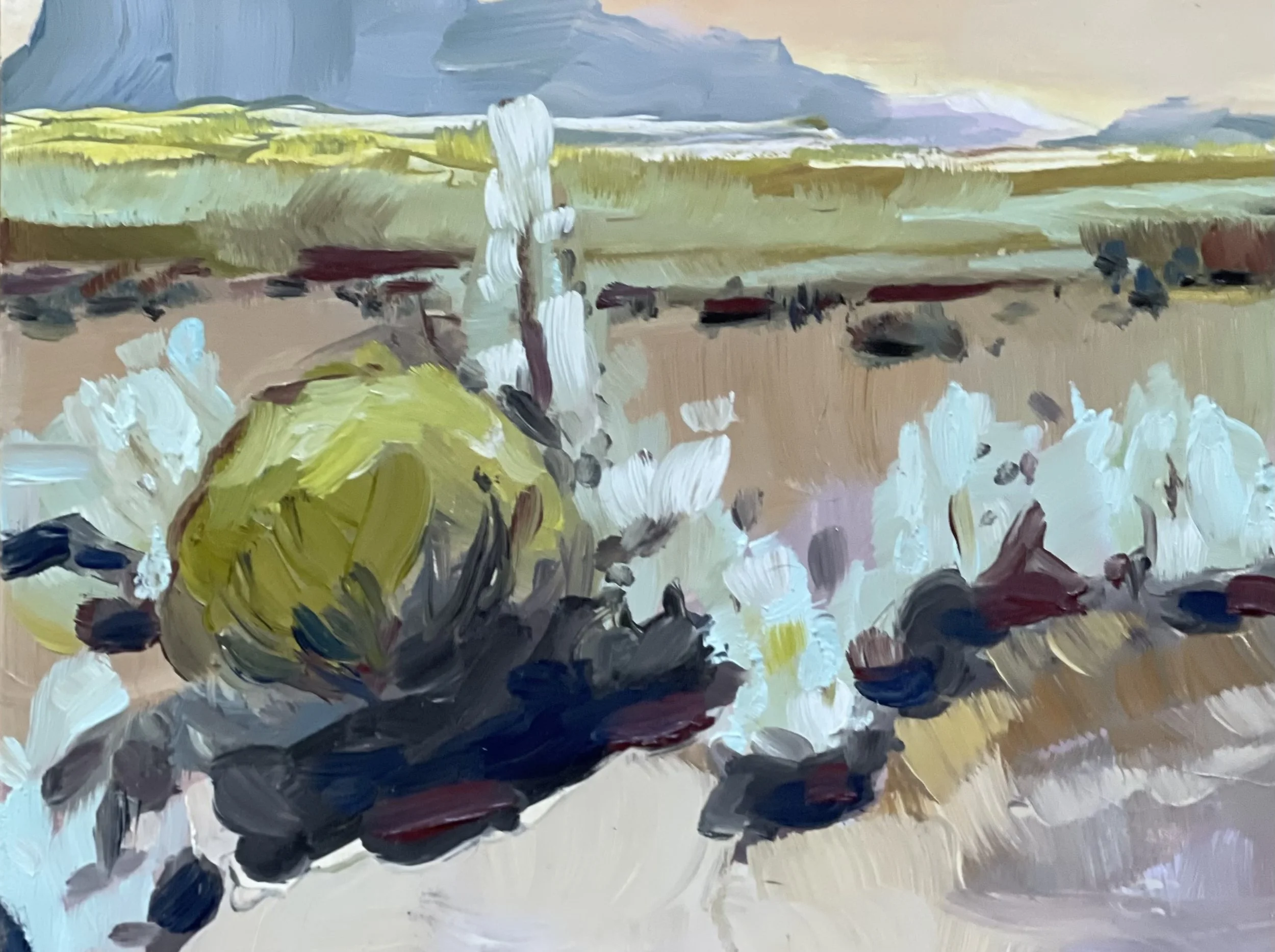 New Mexico, Oil, 4" by 6"