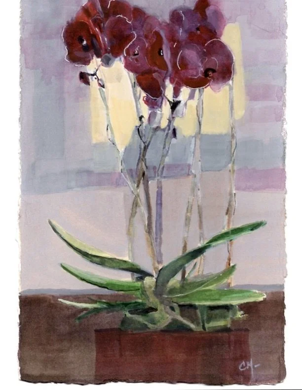 Orchid, Watercolor, 11" by 7.5"