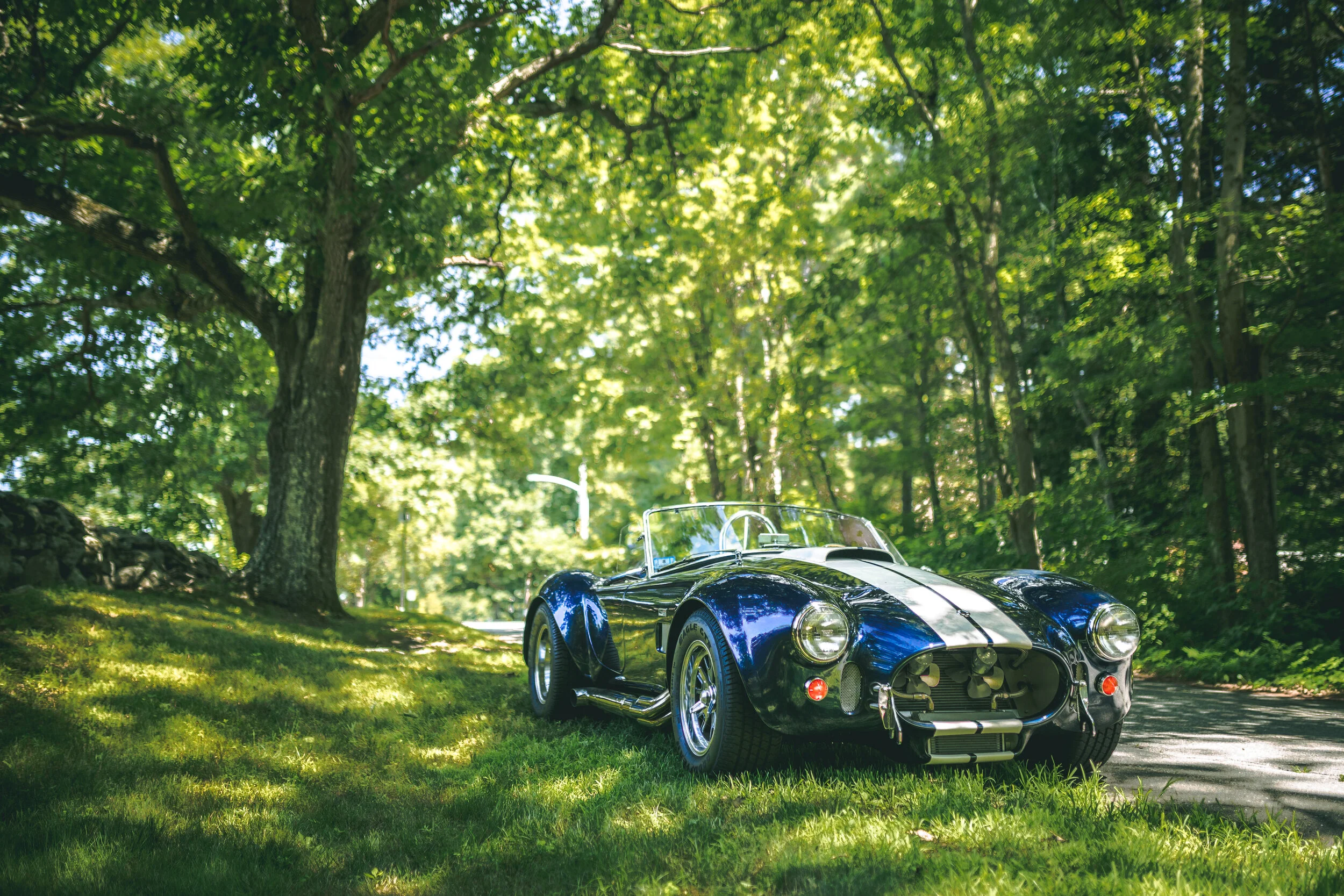 Sal's Shelby Cobra (8/1/20)