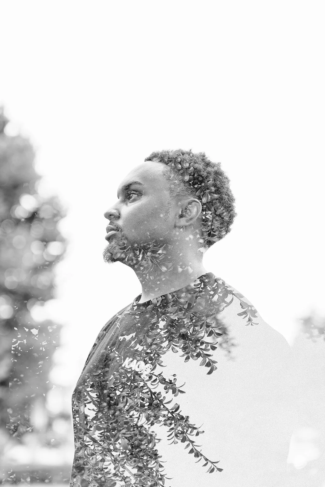 Photo taken by @stevenmschultz