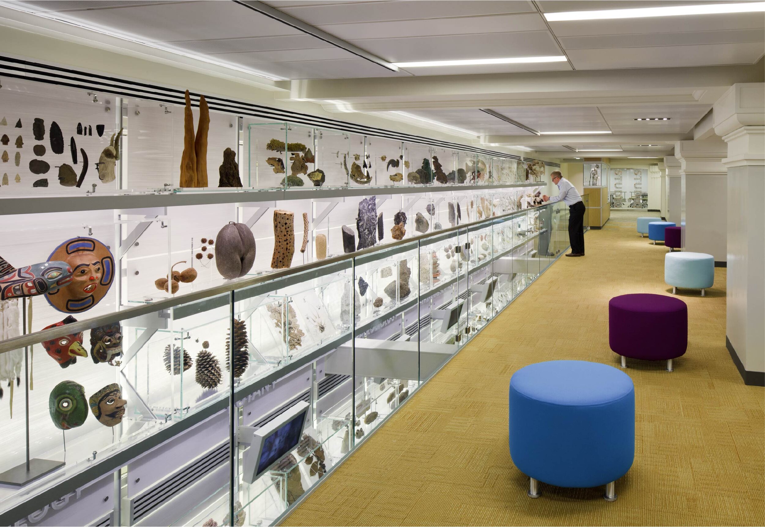 NMNH03.jpg