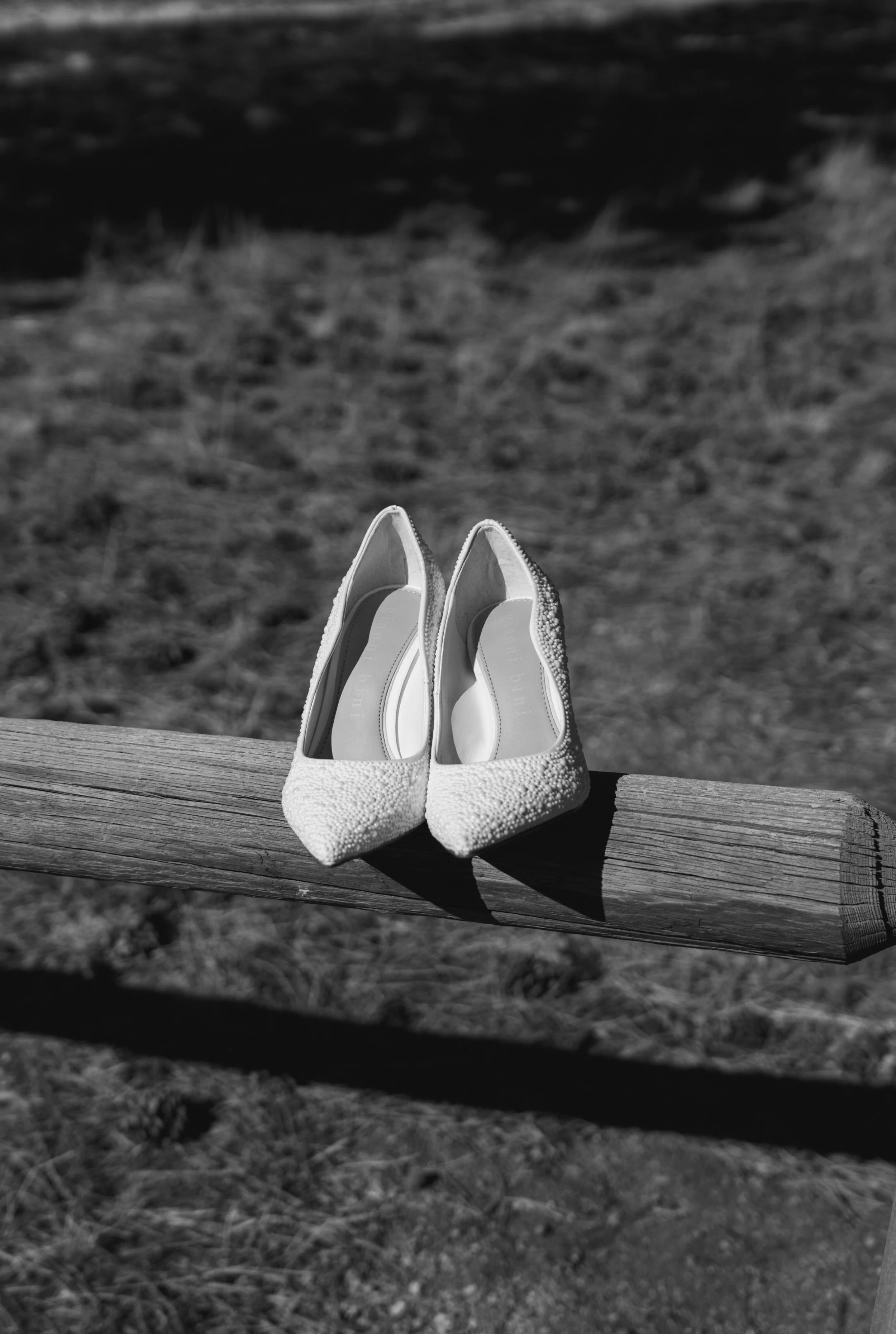 _DSC1510-BW.jpg
