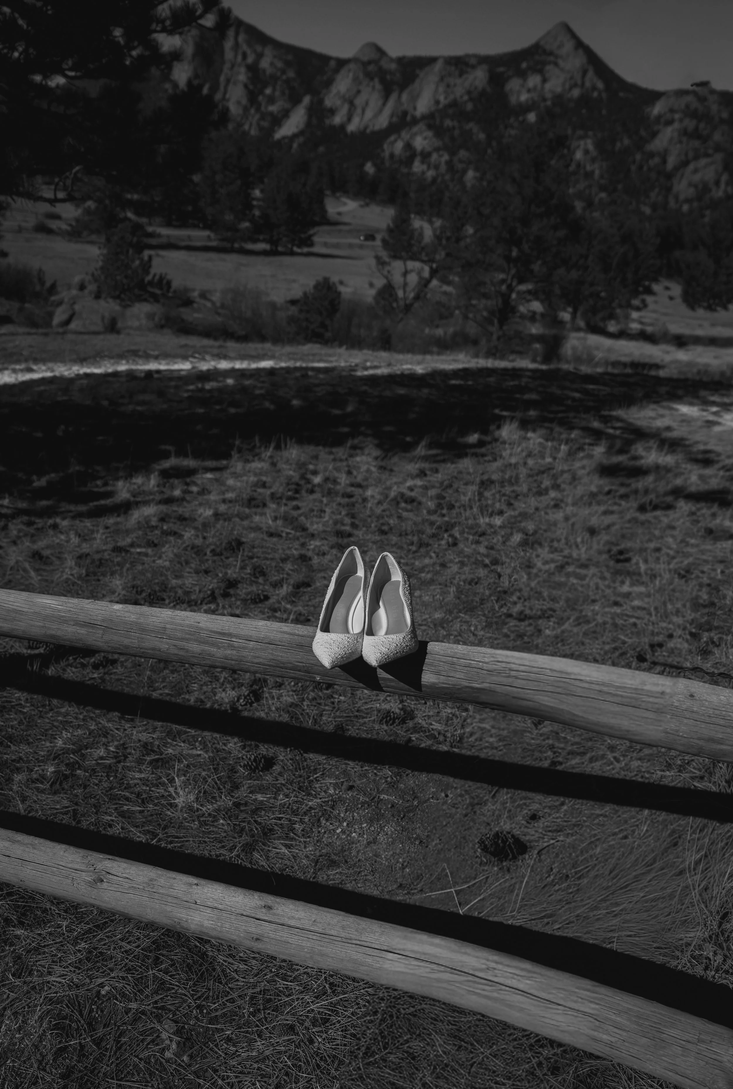_DSC1514-BW.jpg