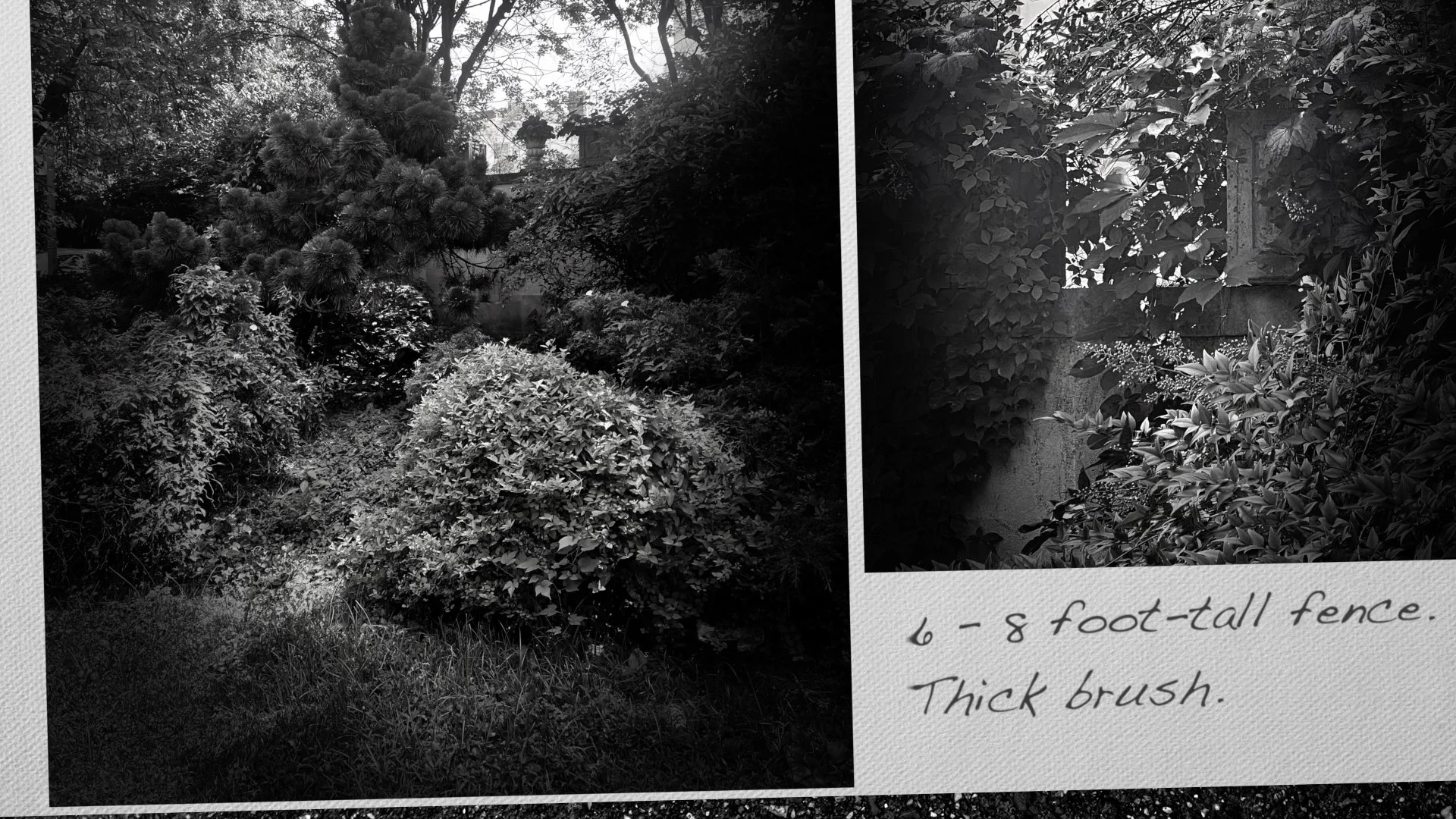 6 - 8 foot-tall fence. Thick brush.