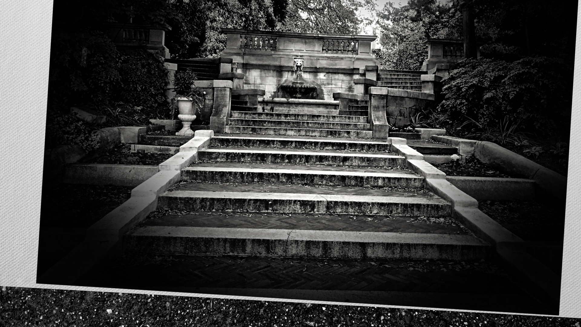 Part I - Background & Death Scene Investigation