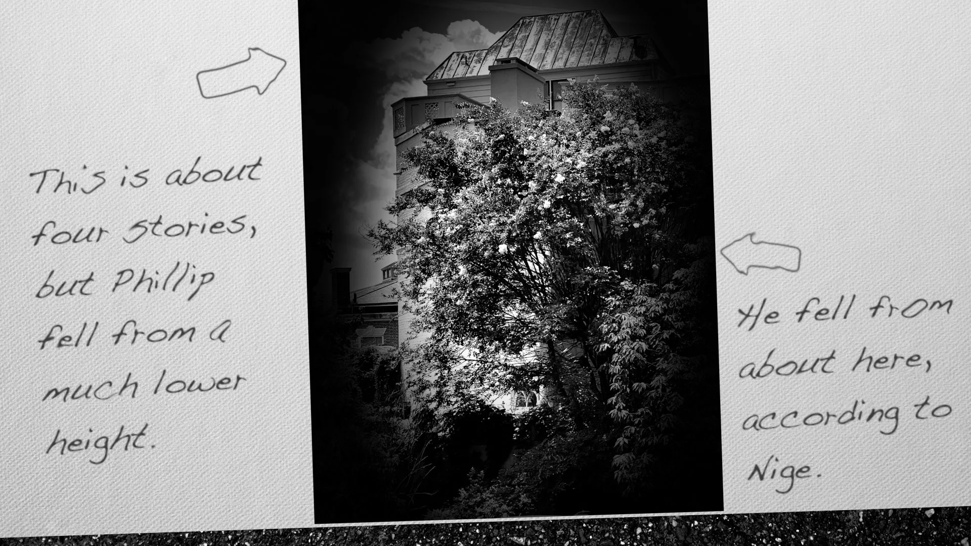 This is about four stories, but Phillip fell from a much lower height. He fell from about here, according to Nige. 