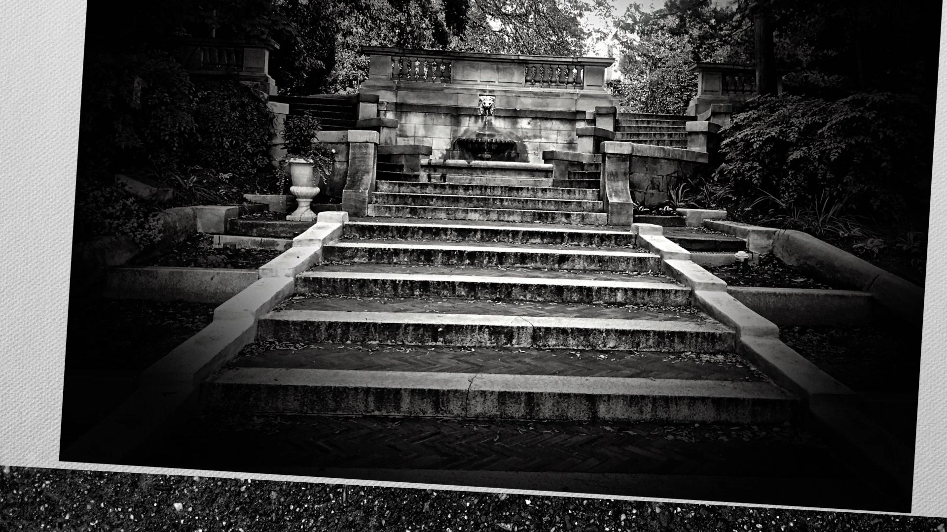 Spanish Steps Kalorama
