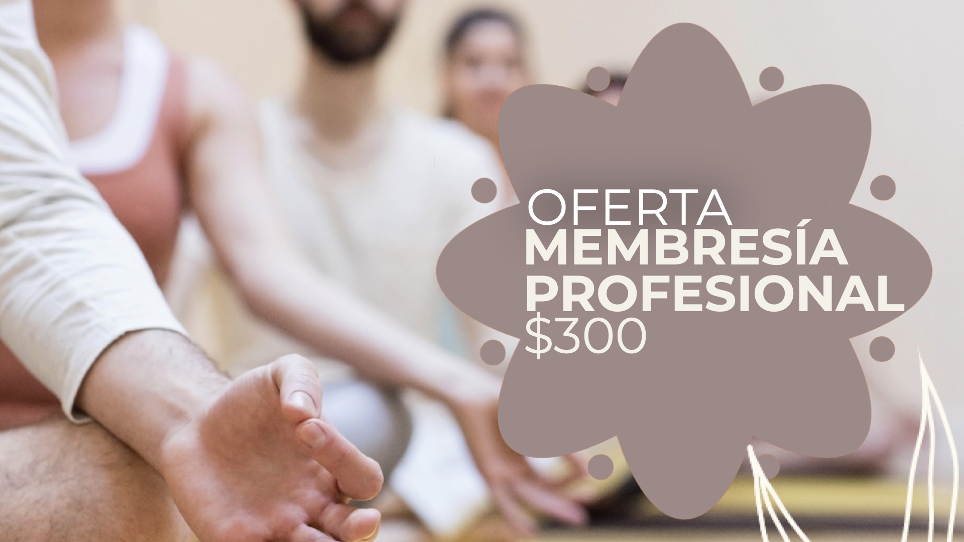 Oferta en Membresías de Maestro Asociado