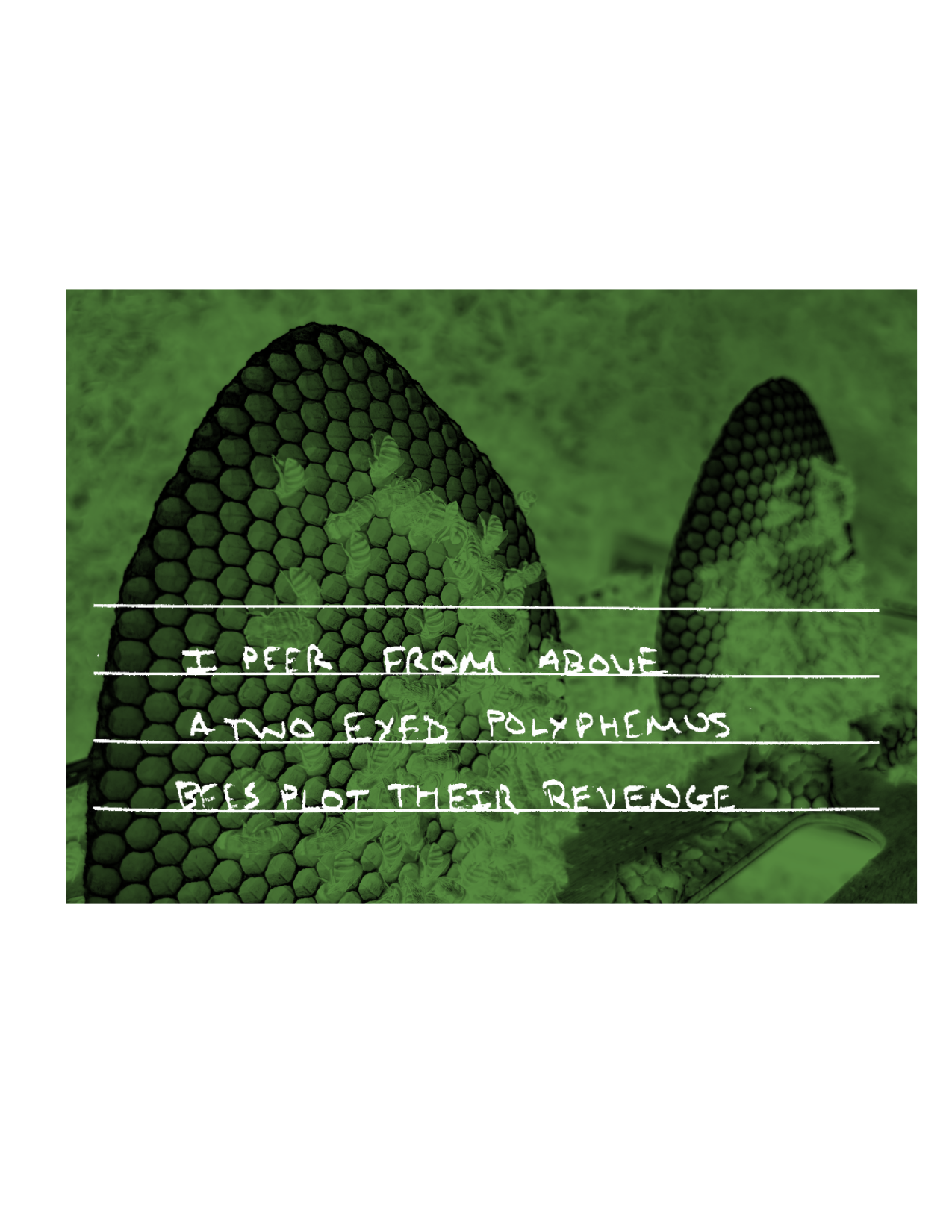 Haiku by Zach Matteson
