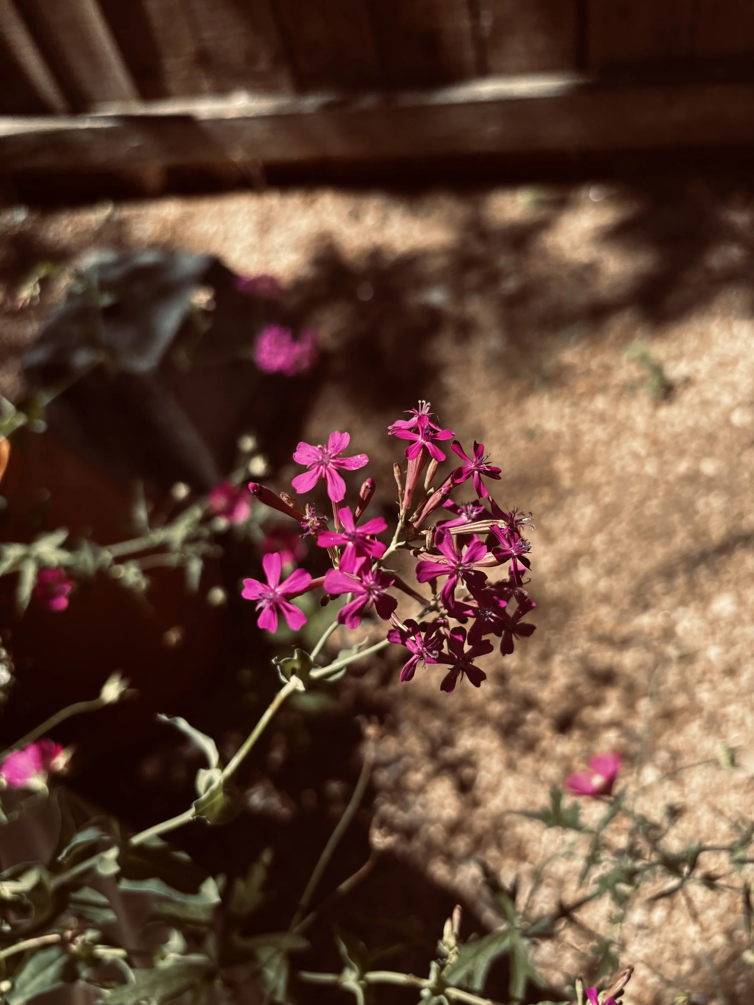 12x45 Minute Lessons