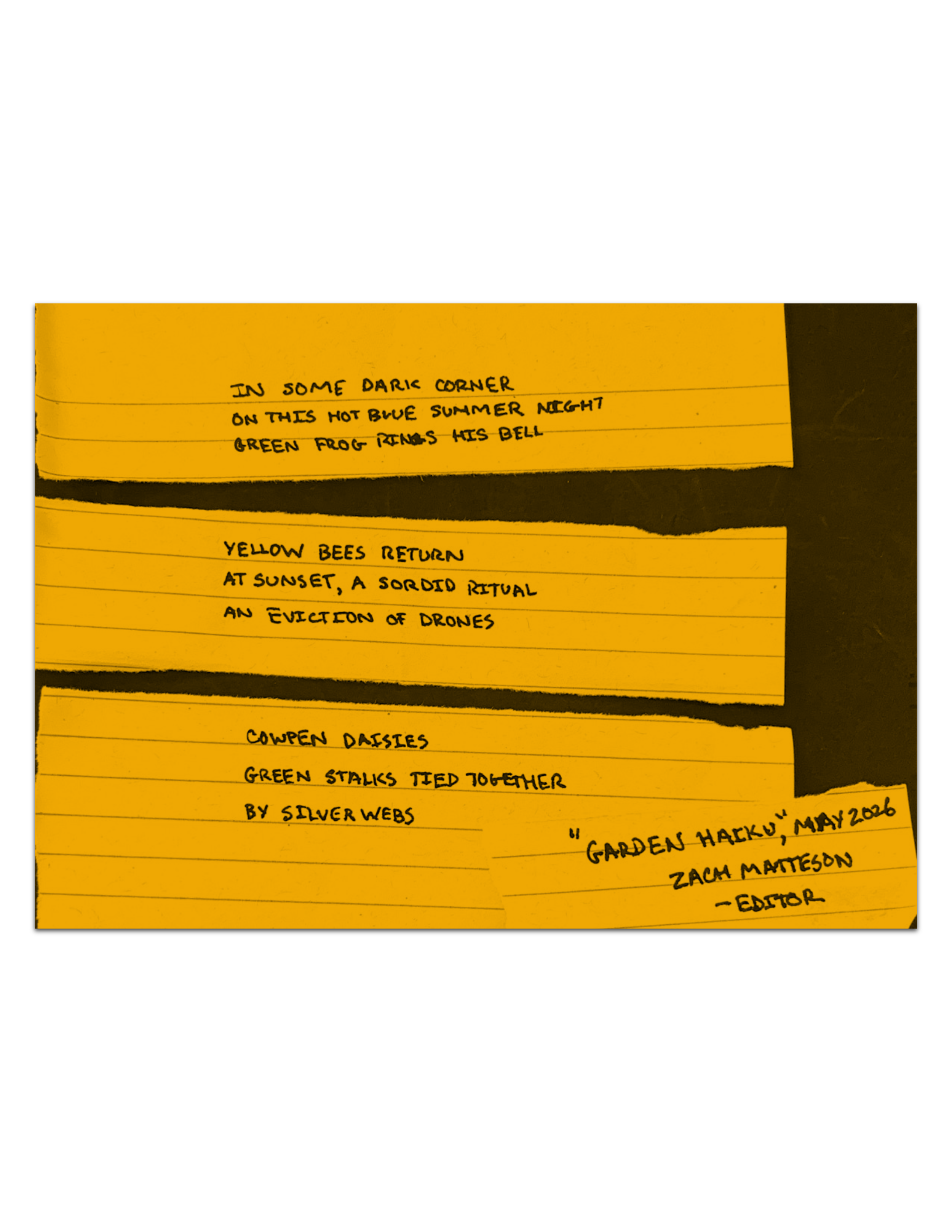 Garden Haiku by Zach Matteson