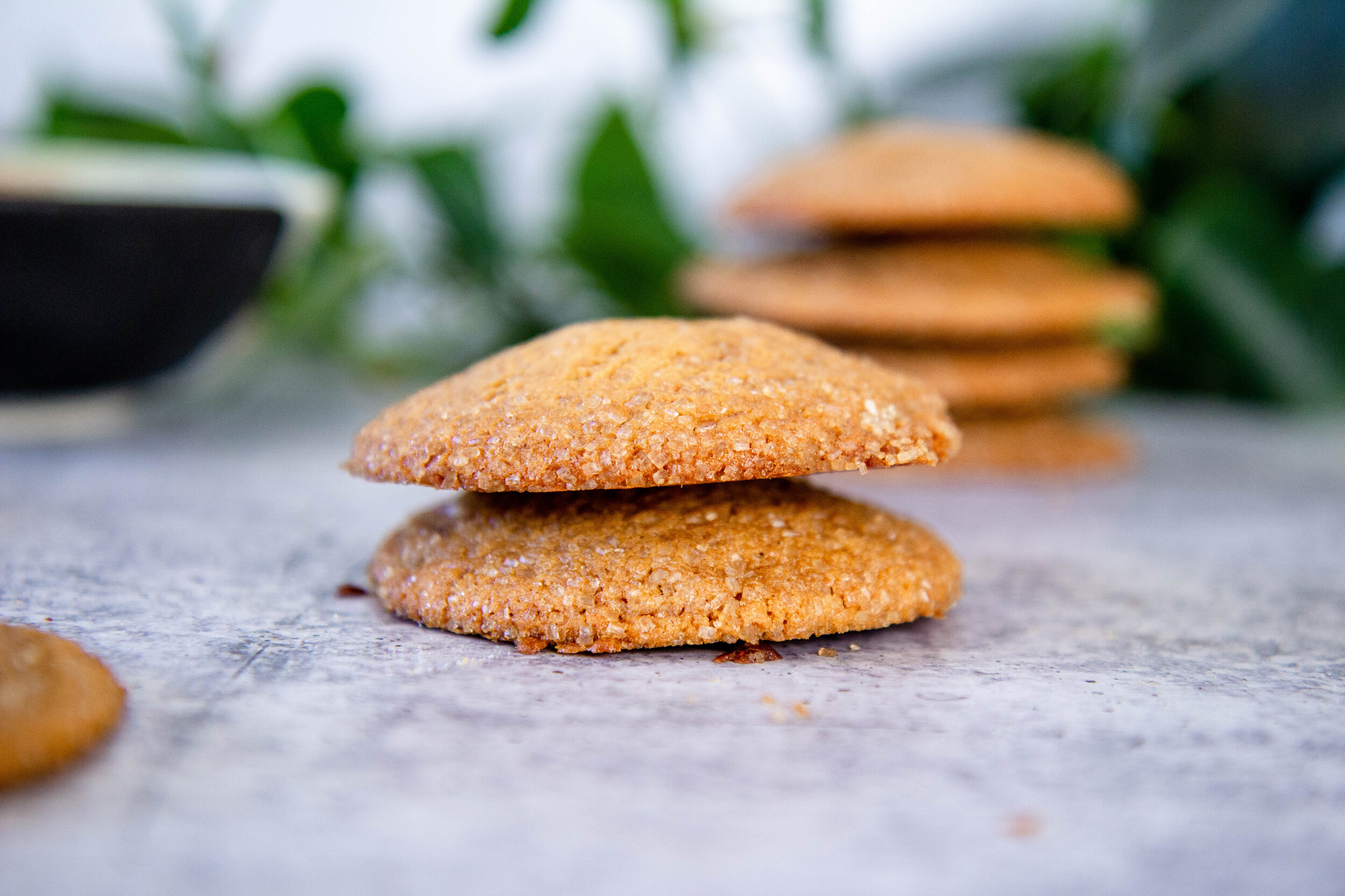 2021-01 ginger molasses cookies-4.jpg