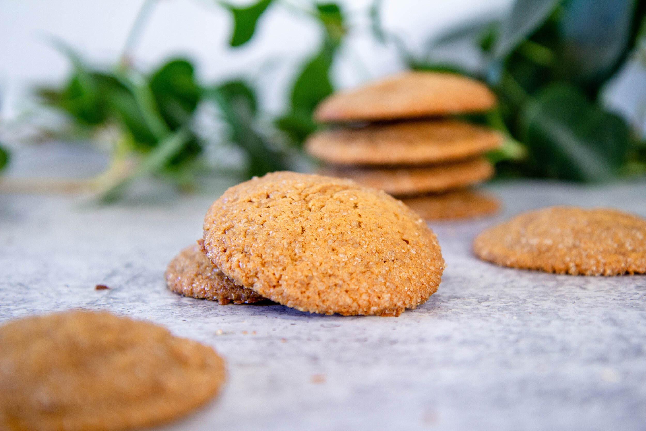 2021-01 ginger molasses cookies-6.jpg
