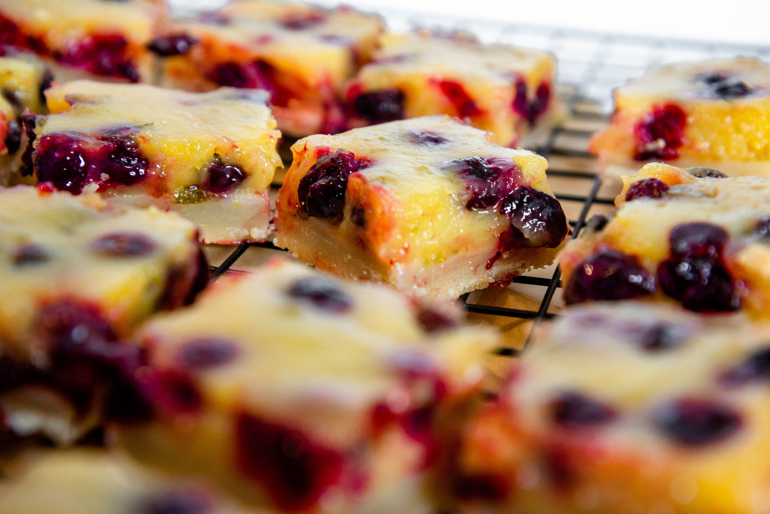 blueberry lemon bars-1.jpg