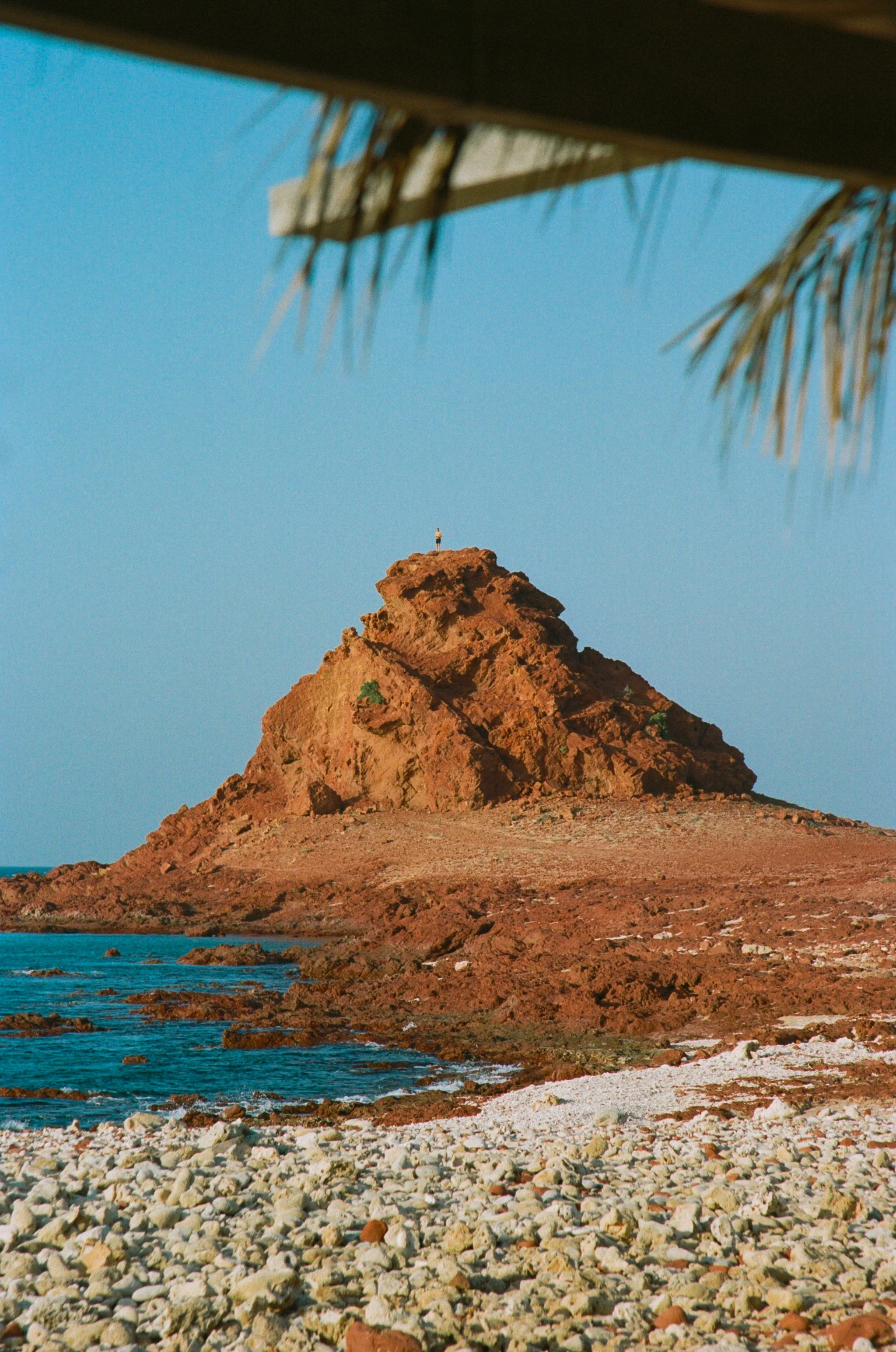 C41-75868-9-0035.jpg