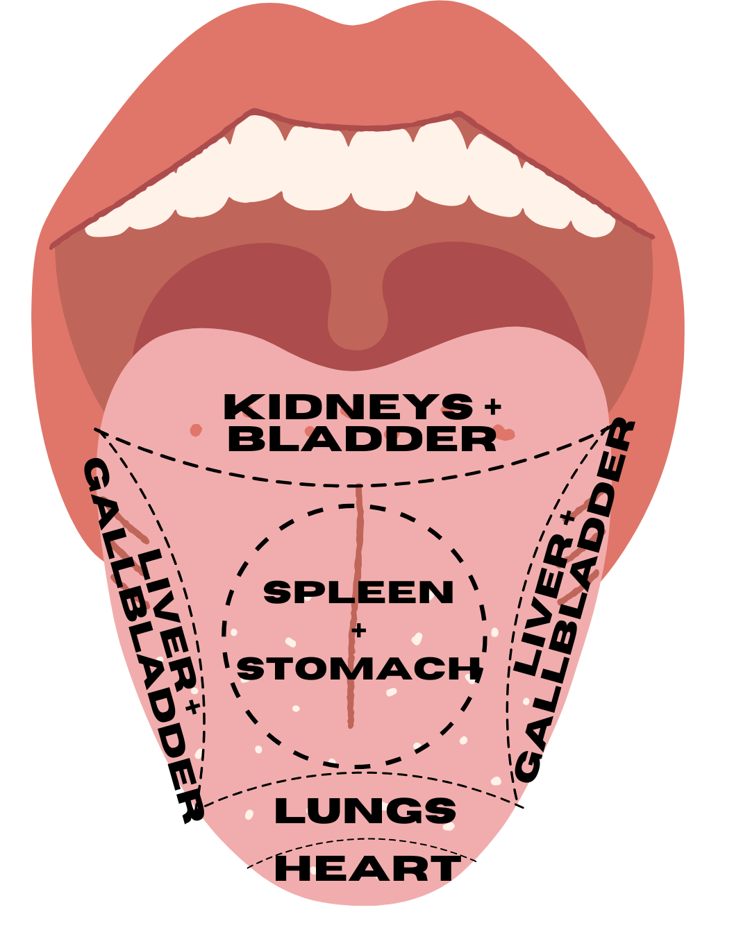TCM Tongue Diagnosis