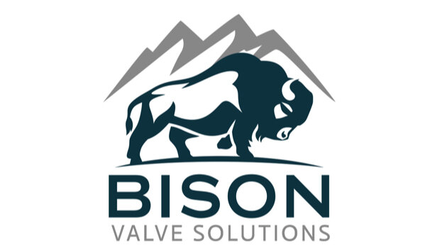 Bison Valve Solutions