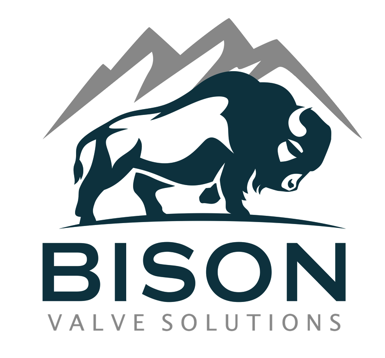 Bison Valve Solutions