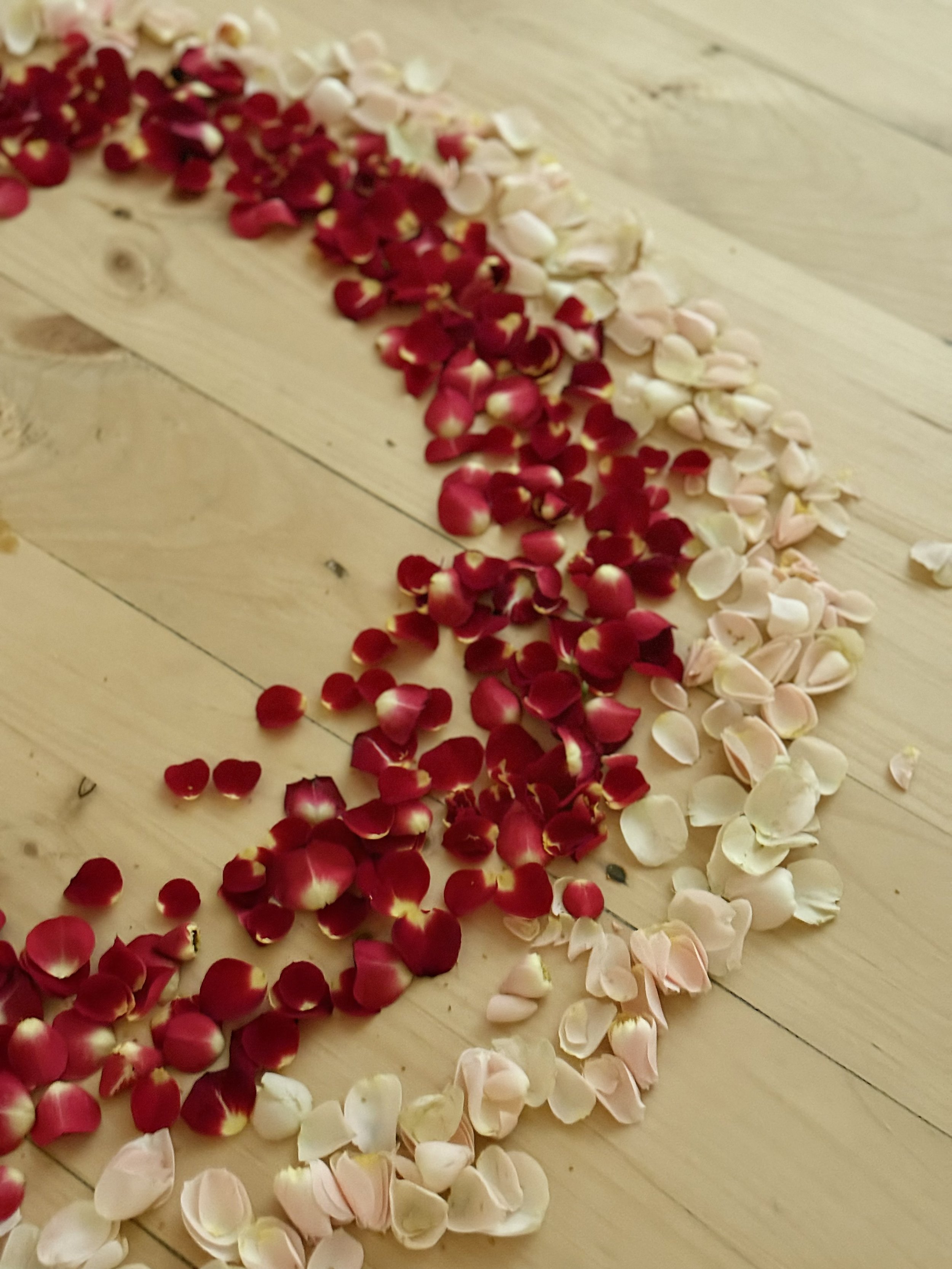 Postpartum yoga resource roundup