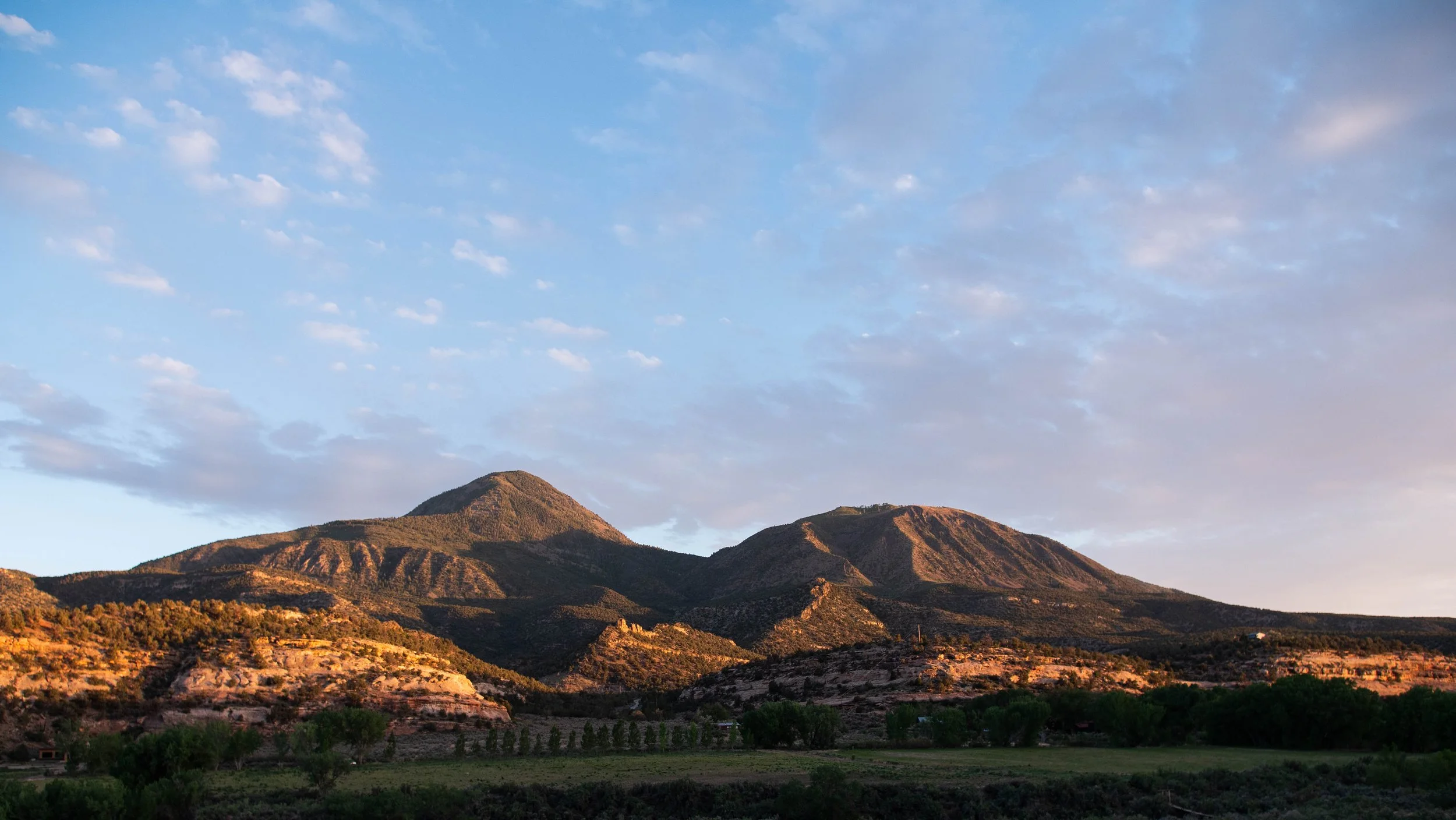 P1255630-1.jpg