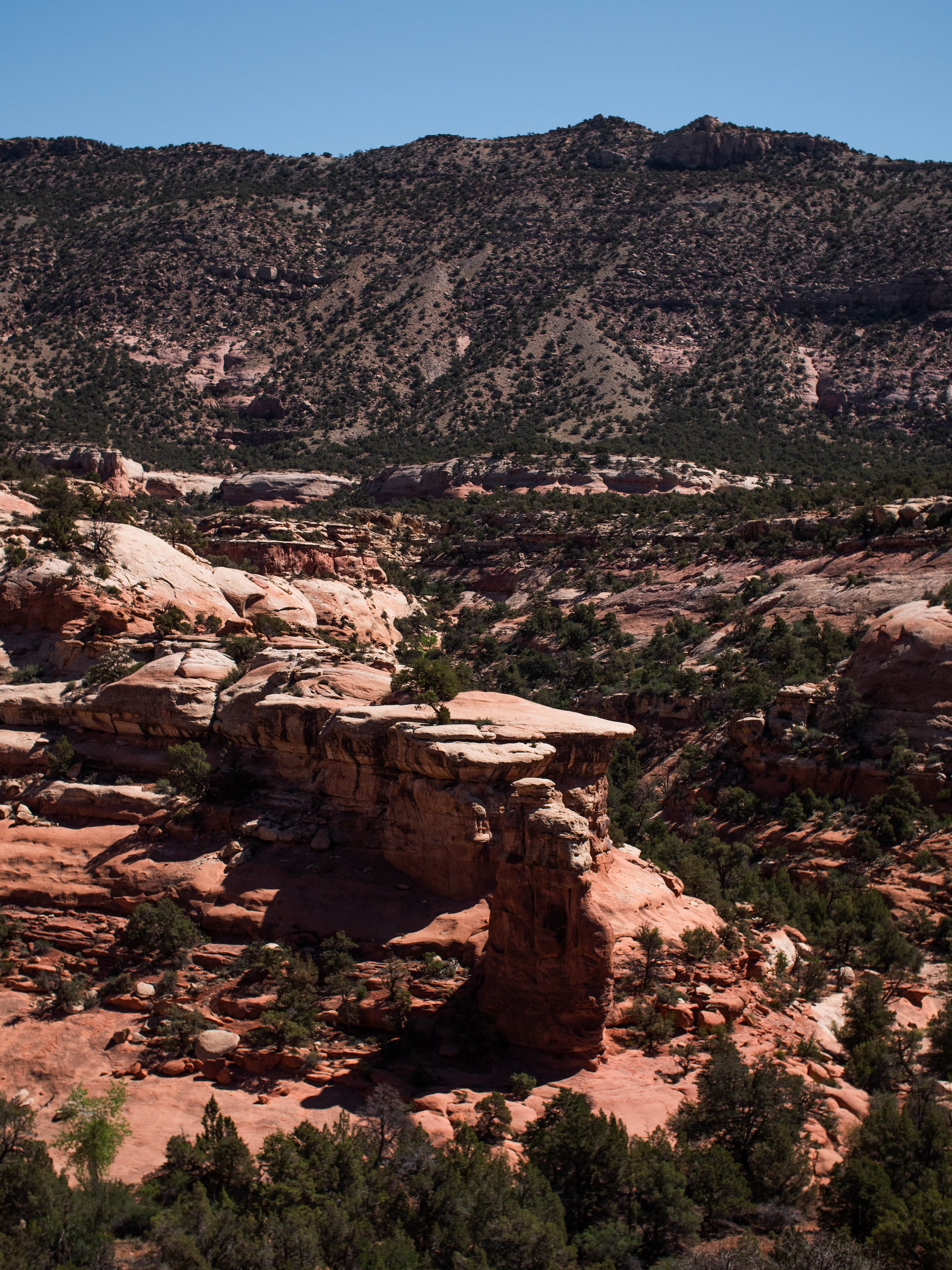 P1255798-1.jpg