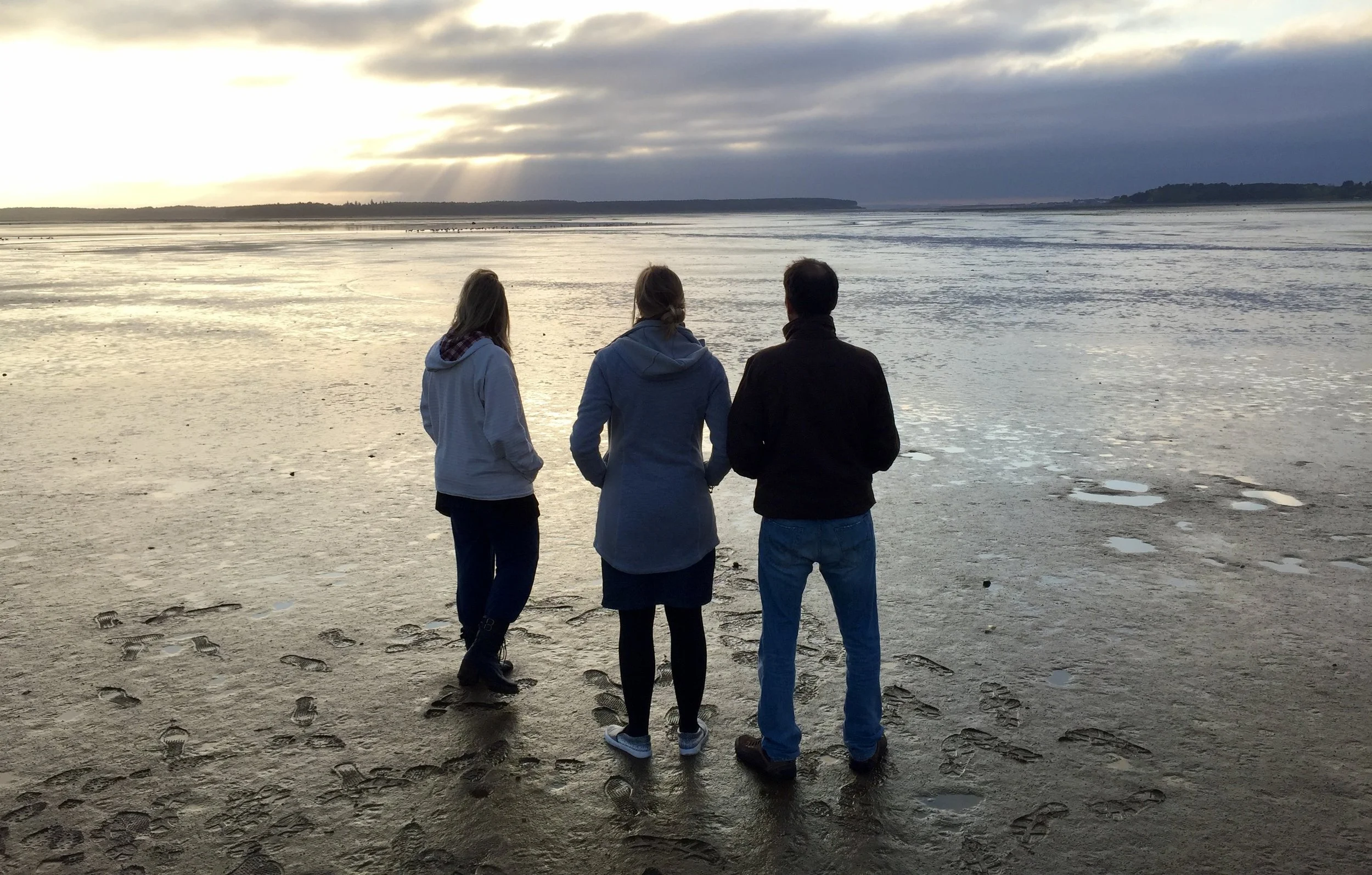 Co-mentoring &amp; Connective Cultural Practices