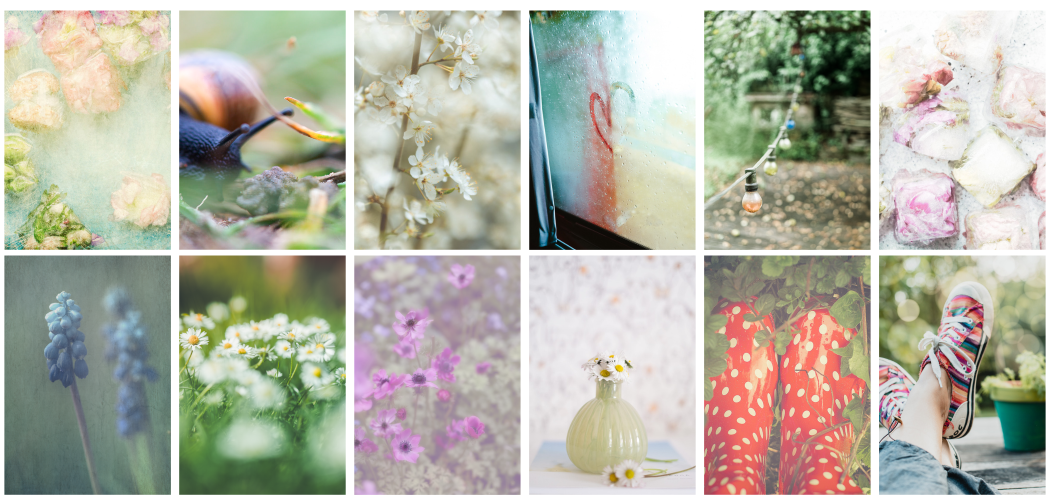50 Shades of Spring.png