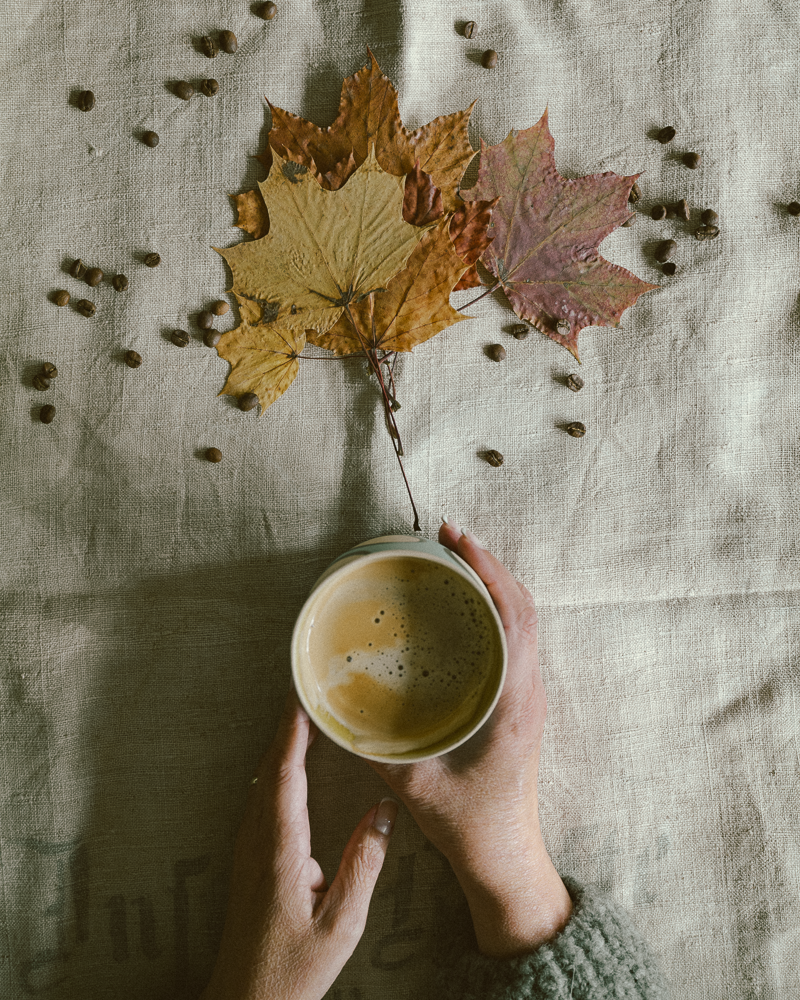 untitled-1070914-2.png