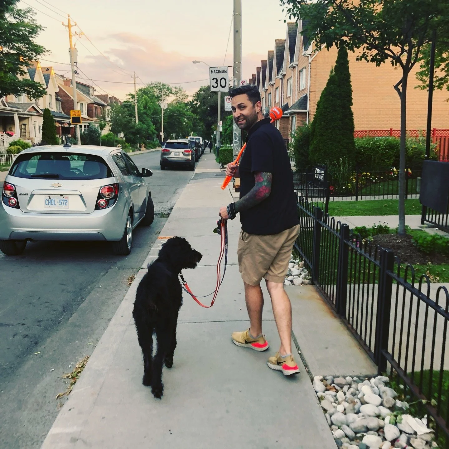 Our hearts are broken as we share that our beloved best friend died unexpectedly and suddenly yesterday evening. 

Alexander was with us for less than 6 1/2 years, but he changed our lives immeasurably. We thought we were rescuing him, but in fact he