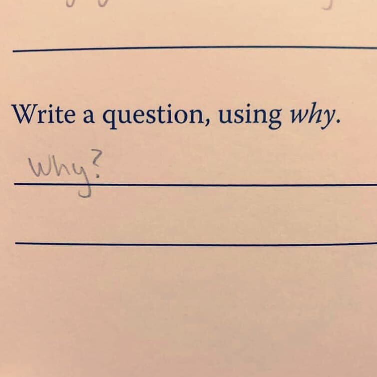 It's Friday. On Fridays, I usually post something that's funny.

And it's also my birthday! So a day of reflections, questions and gratitude.

And some jokes. 

Why? Why not? But . .  WHY?

It's the big terrifying existential question. And it IS also