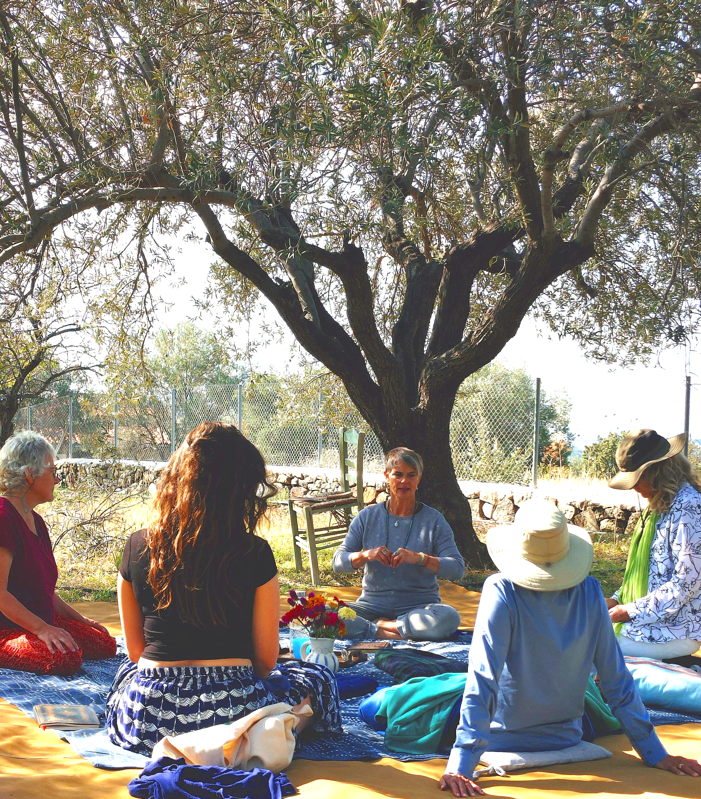 women sitting in a circle talking under an olive grove, looking at the group leader, Karen Connelly