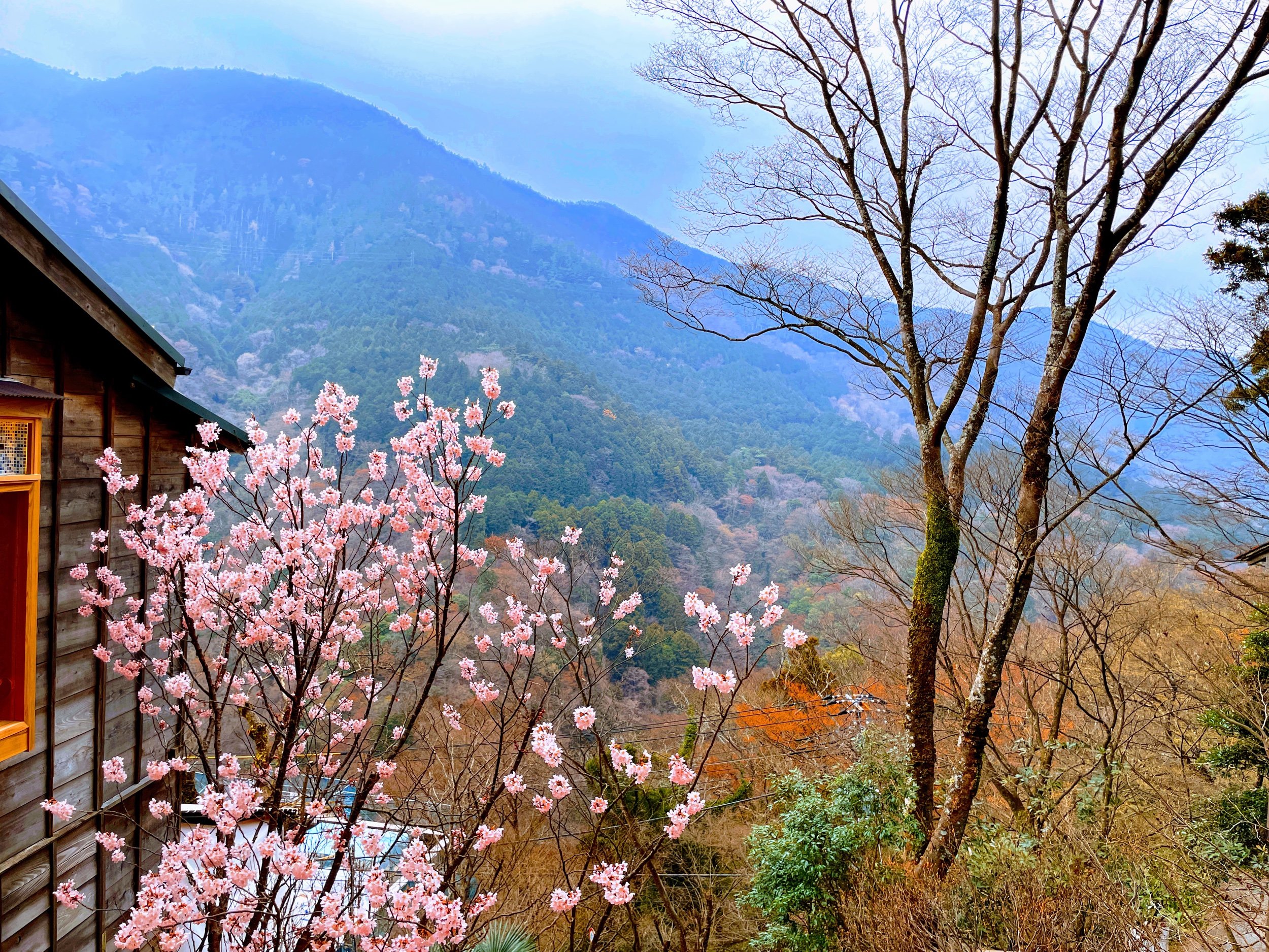 Hakone, Japan. 04th Feb, 2023. Bathers enjoy in a colored with