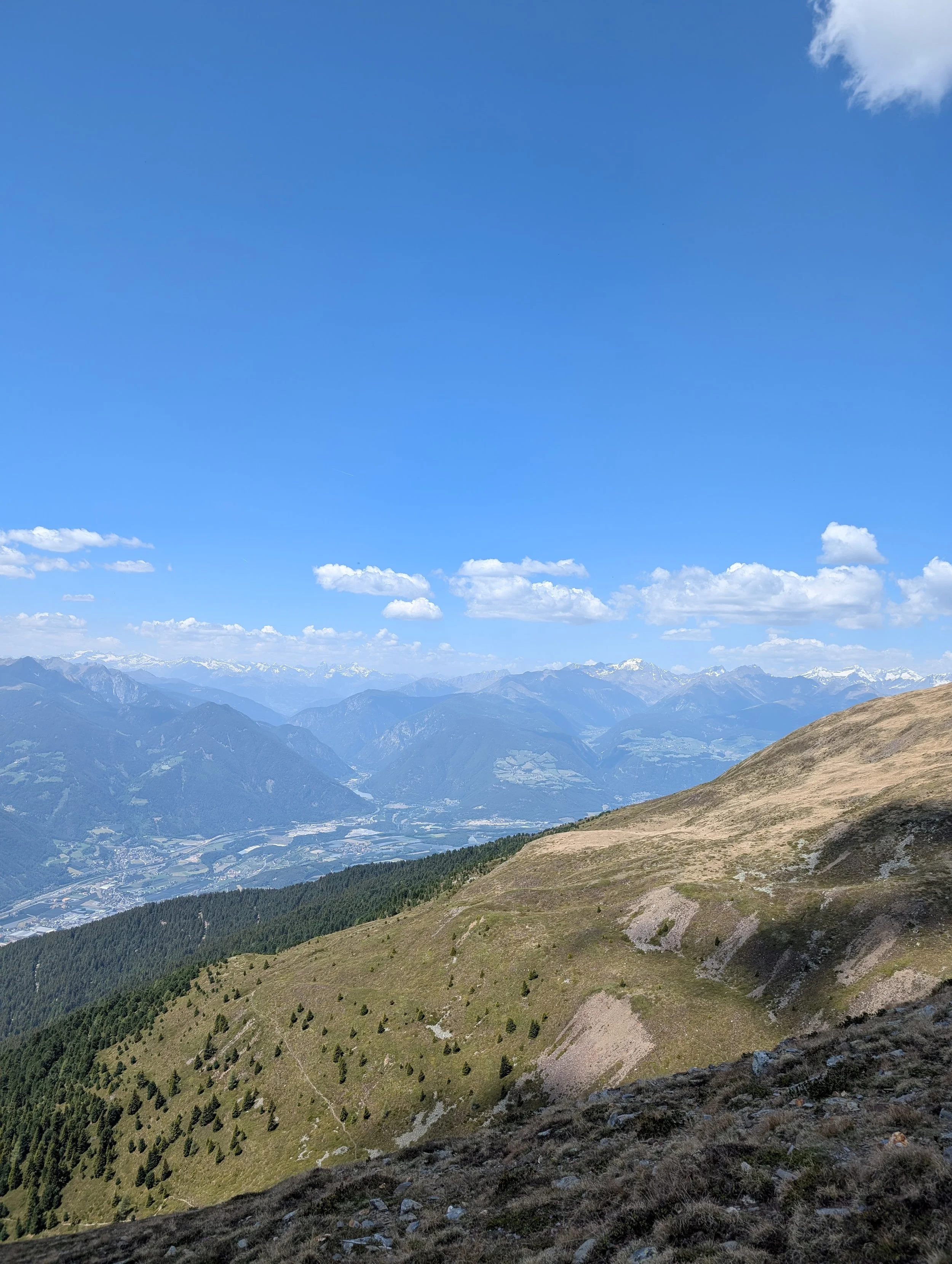 PXL_20260526_115648640.jpg